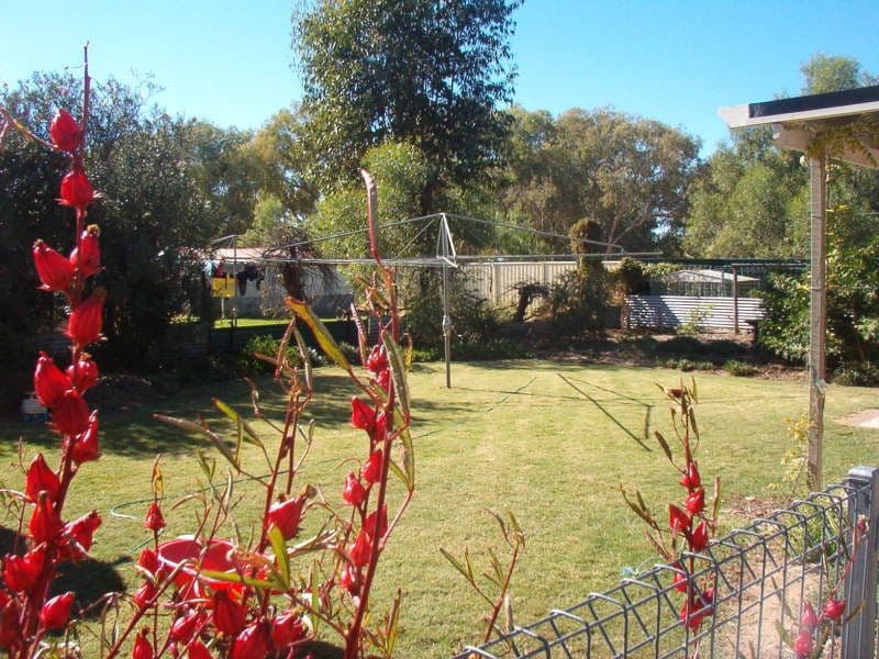 54 Parry, CHARLEVILLE QLD 4470, Charleville - Thumbnail 7