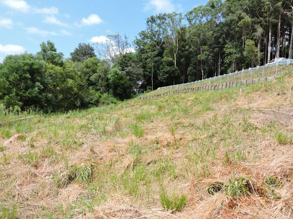 Lot 553 Part Lot 66 The Ridgeway, Lisarow NSW 2250, Lisarow - Image 1