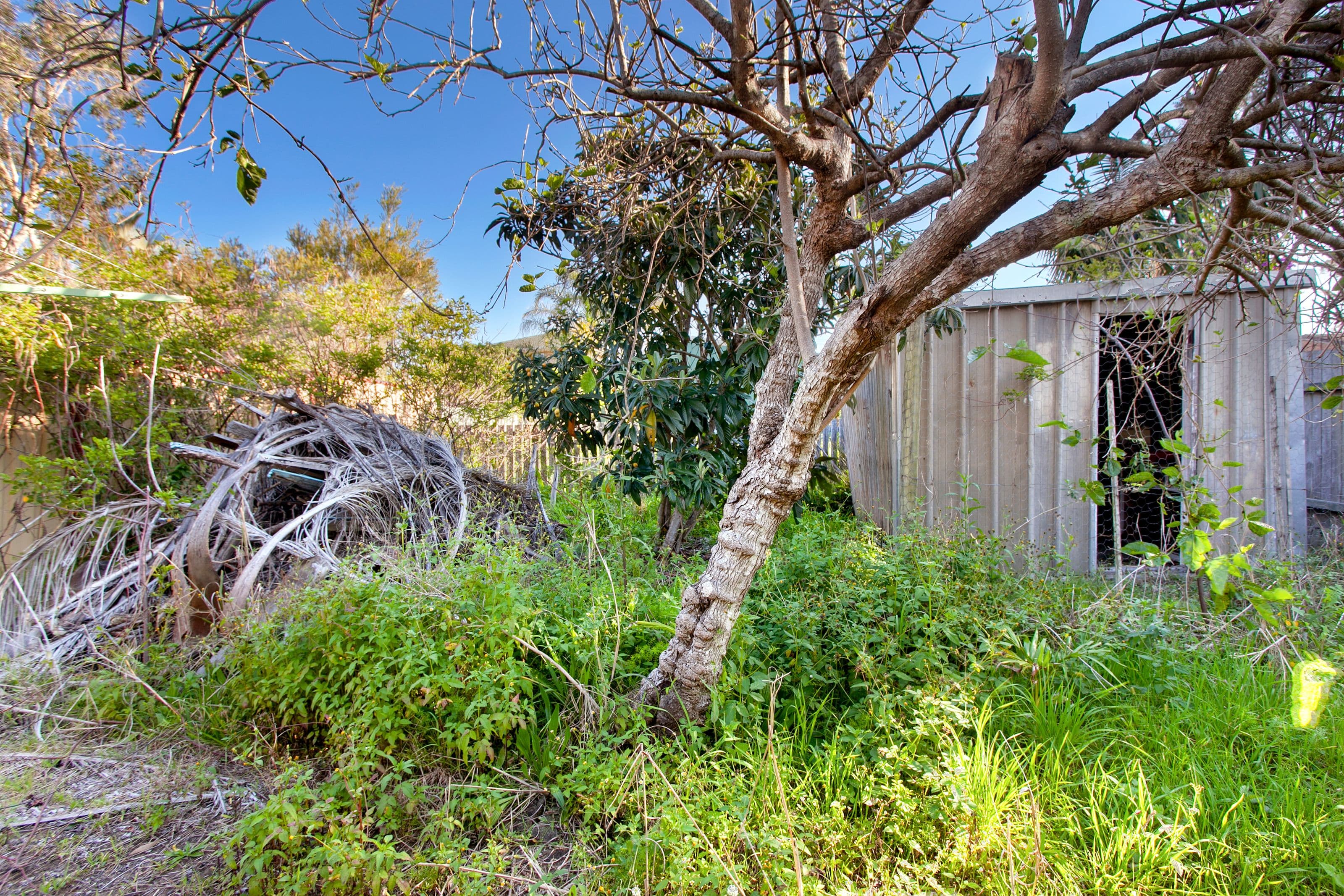 132 Pacific Street, Corindi Beach - Thumbnail 6