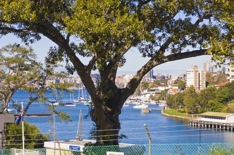 5 Ben Boyd Road, NEUTRAL BAY NSW 2089, Neutral Bay - Image 1