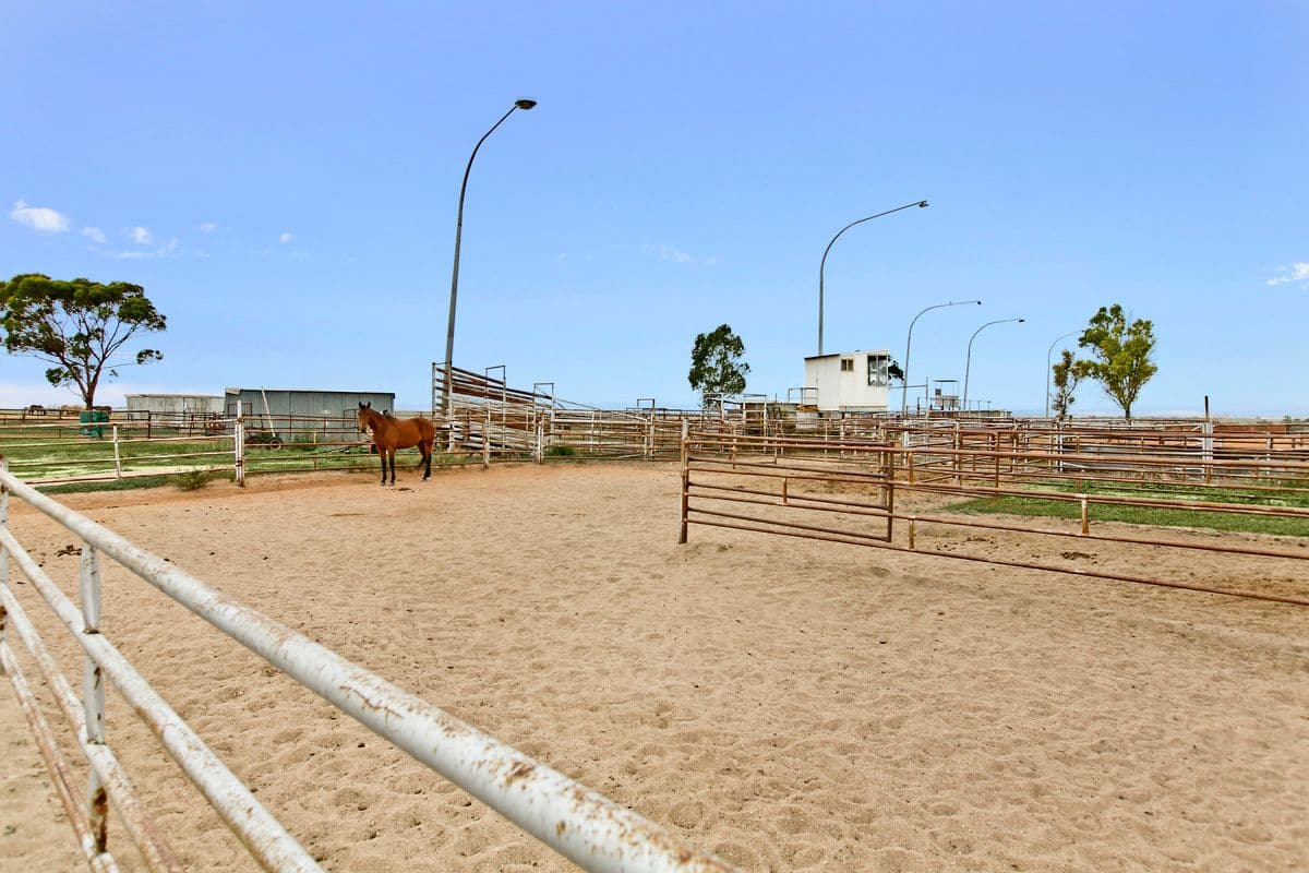 764 Horrocks Highway, ROSEWORTHY SA 5371, Roseworthy - Thumbnail 3
