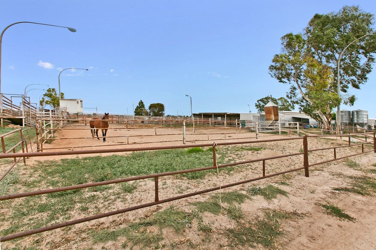 764 Horrocks Highway, ROSEWORTHY SA 5371, Roseworthy - Thumbnail 4