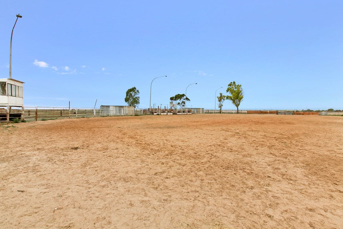 764 Horrocks Highway, ROSEWORTHY SA 5371, Roseworthy - Thumbnail 5