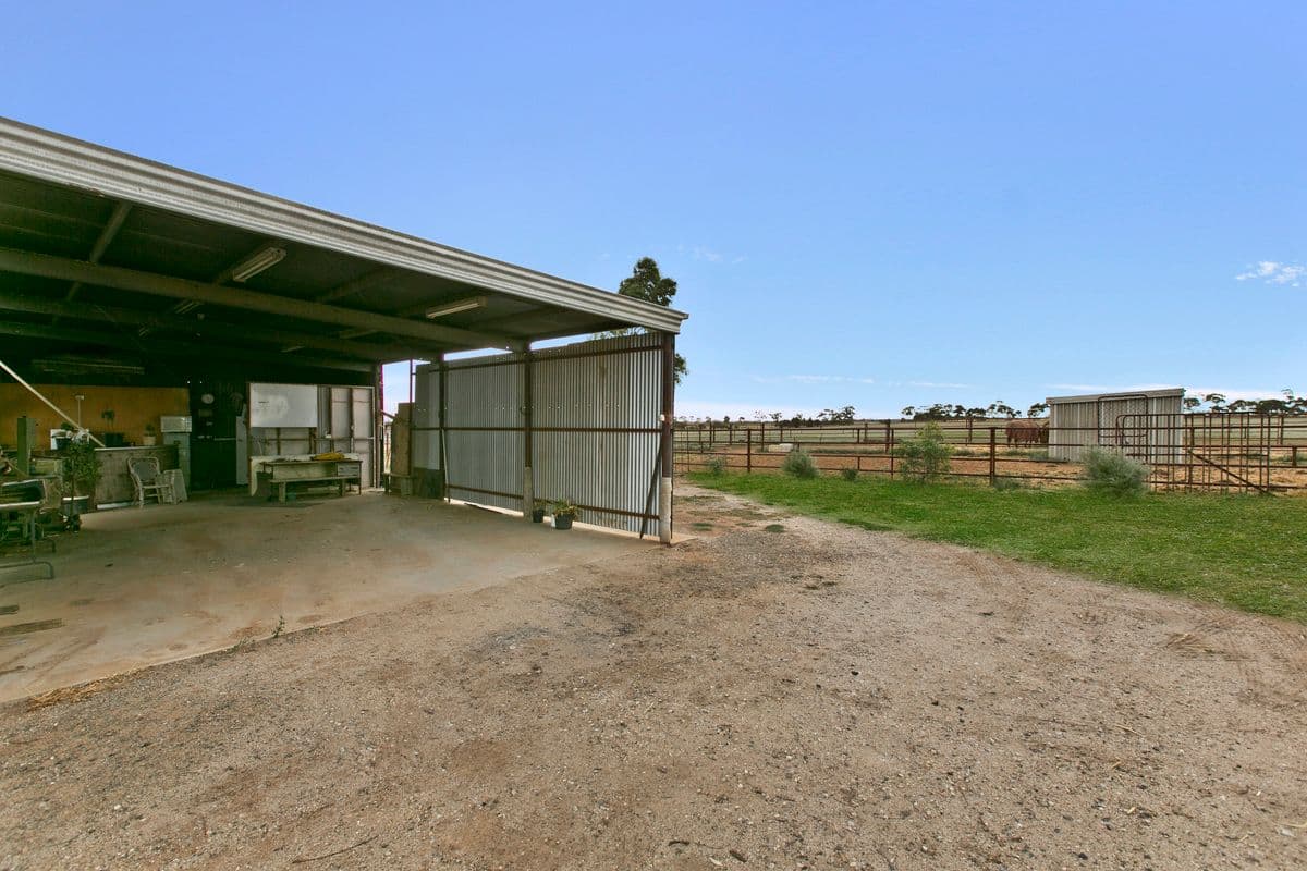 764 Horrocks Highway, ROSEWORTHY SA 5371, Roseworthy - Thumbnail 6