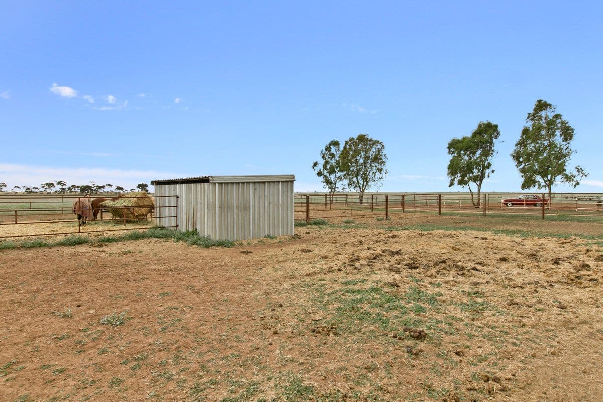 764 Horrocks Highway, ROSEWORTHY SA 5371, Roseworthy - Thumbnail 7