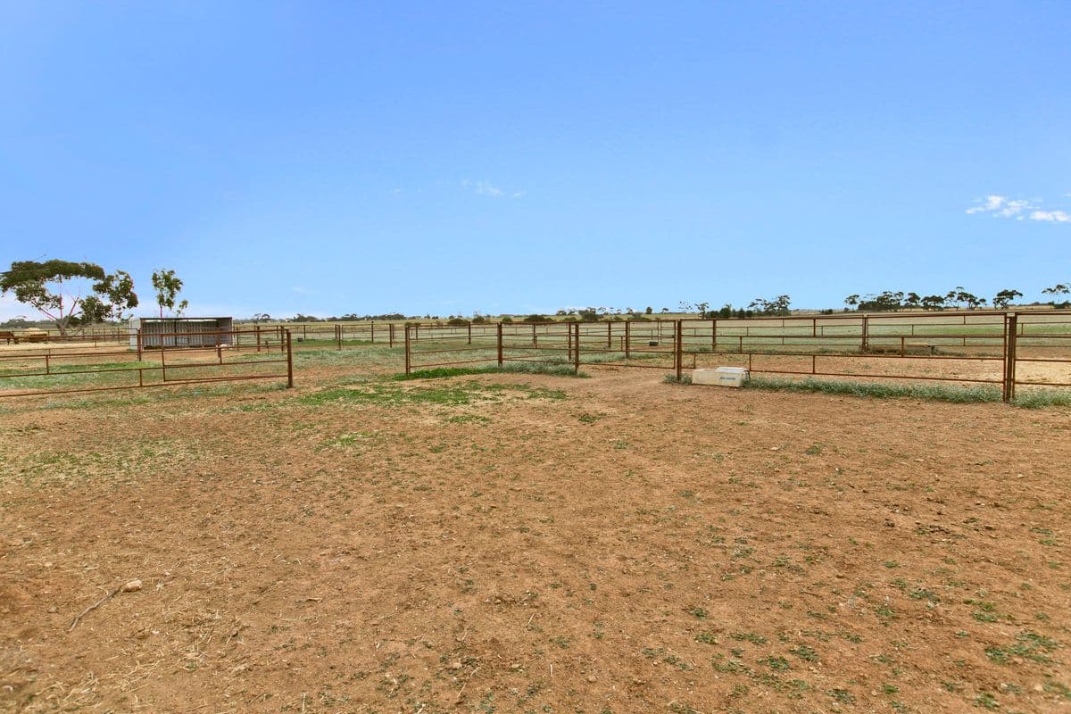 764 Horrocks Highway, ROSEWORTHY SA 5371, Roseworthy - Thumbnail 8