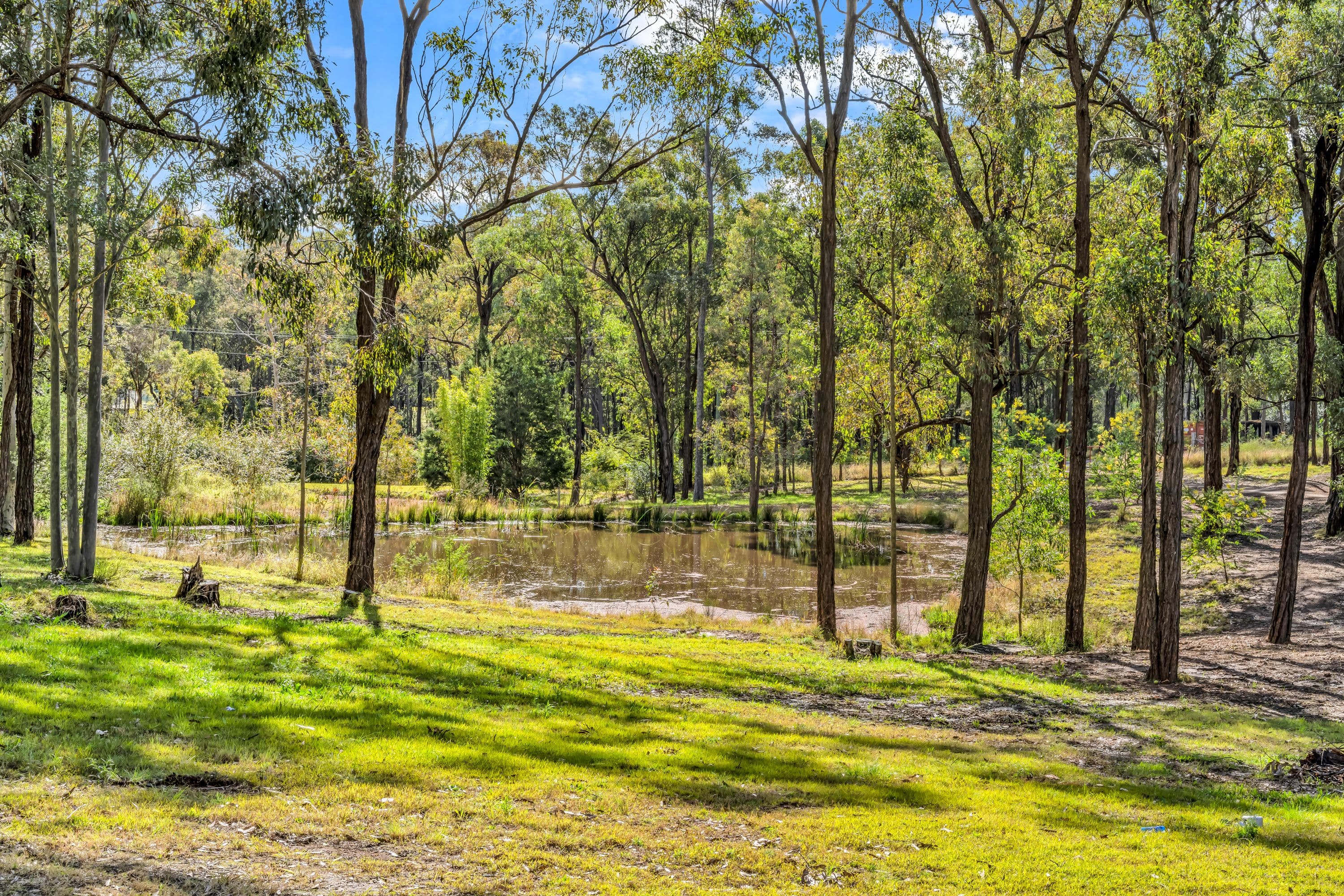 132 Retreat Road, Singleton NSW 2330, Singleton - Thumbnail 2