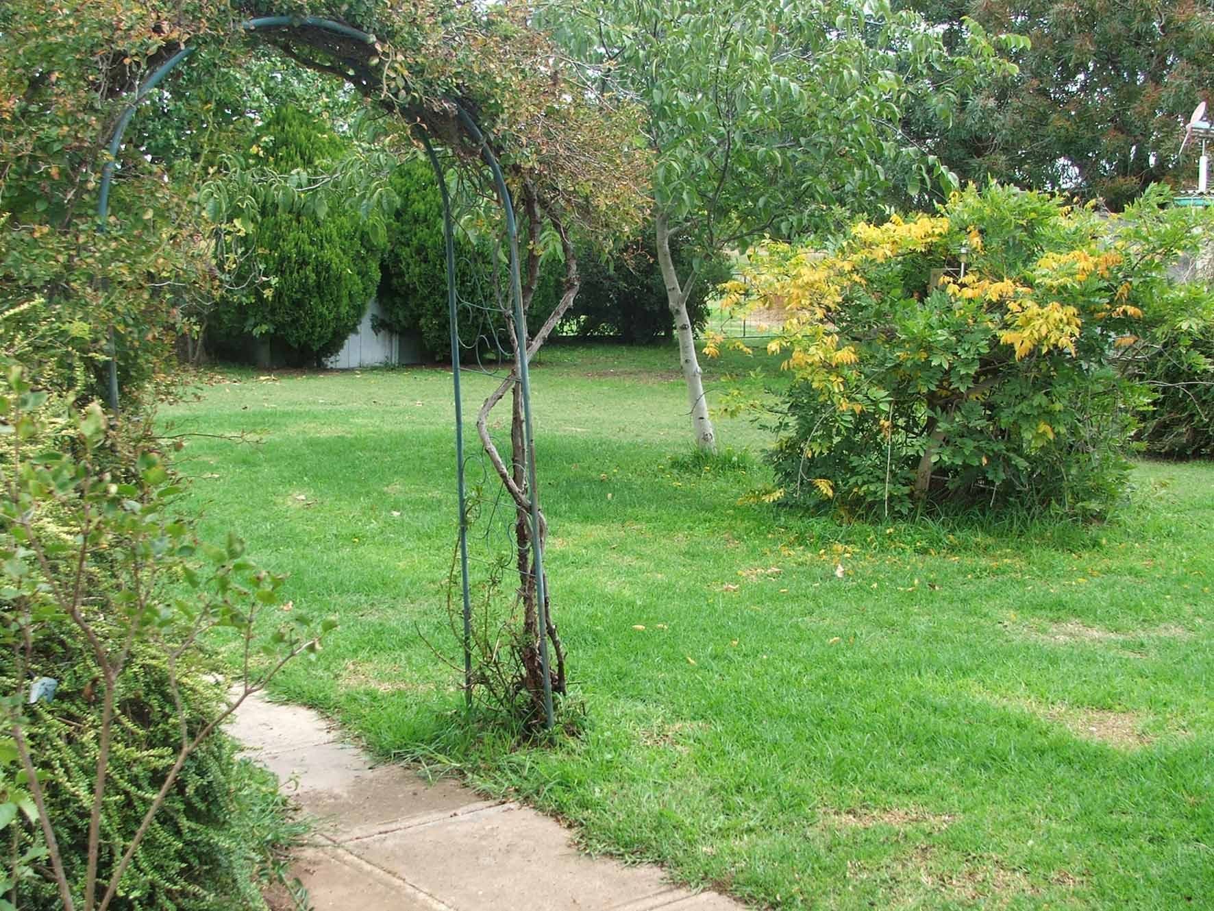 172 Lambeth, Glen Innes NSW 2370, Glen Innes - Thumbnail 4