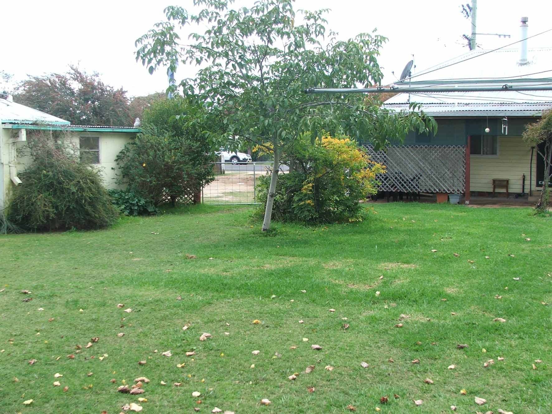 172 Lambeth, Glen Innes NSW 2370, Glen Innes - Thumbnail 6