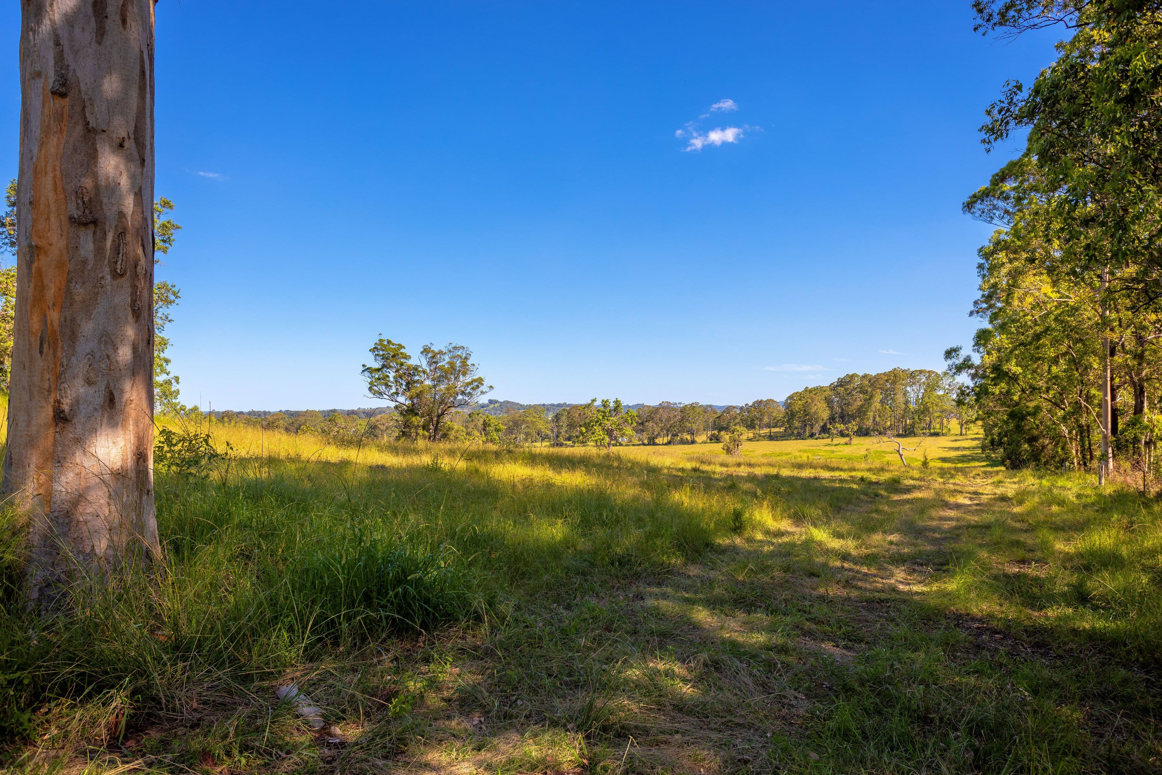 76 Khatabundah Road, Wingham NSW 2429, Wingham - Image 1