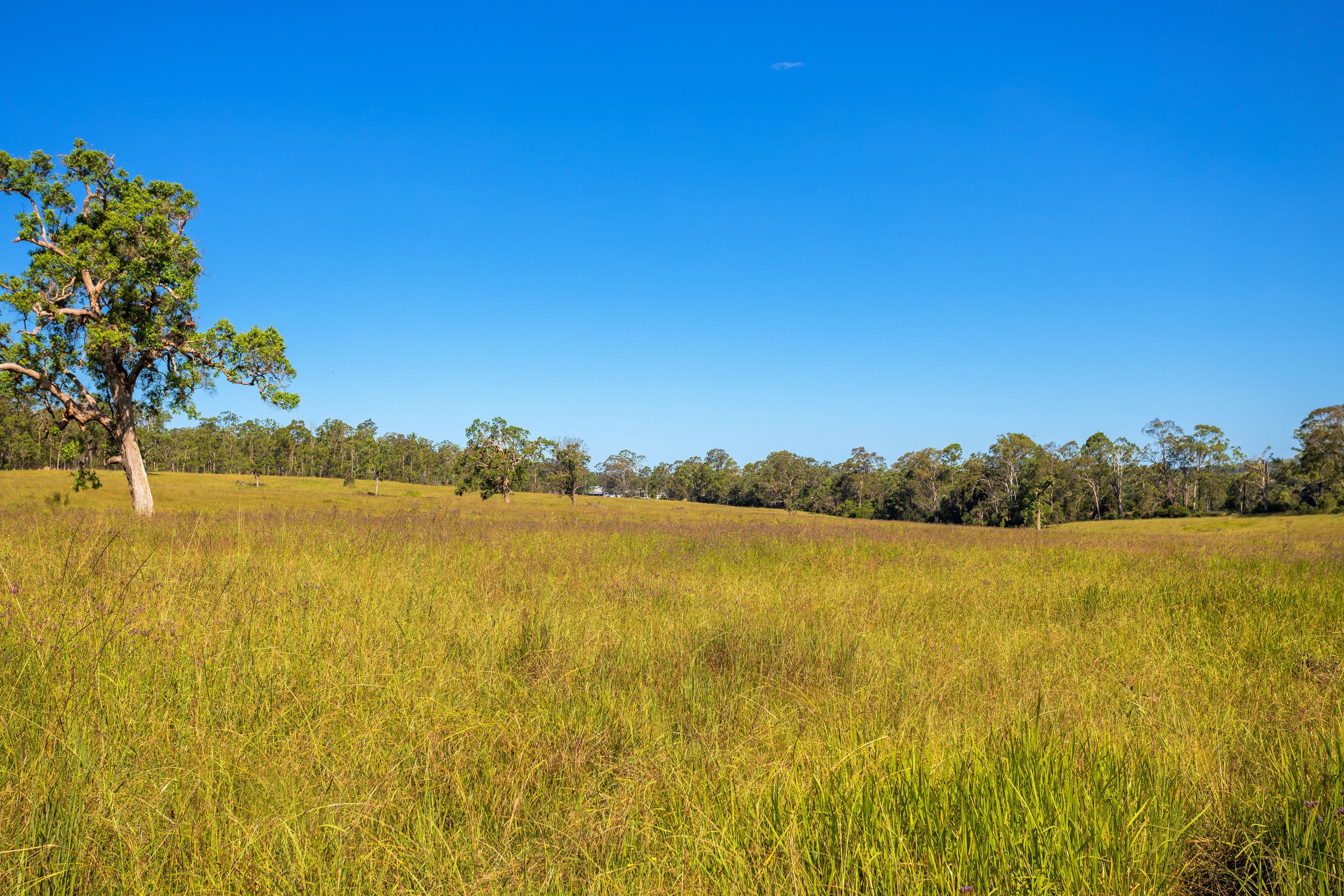 76 Khatabundah Road, Wingham NSW 2429, Wingham - Thumbnail 3