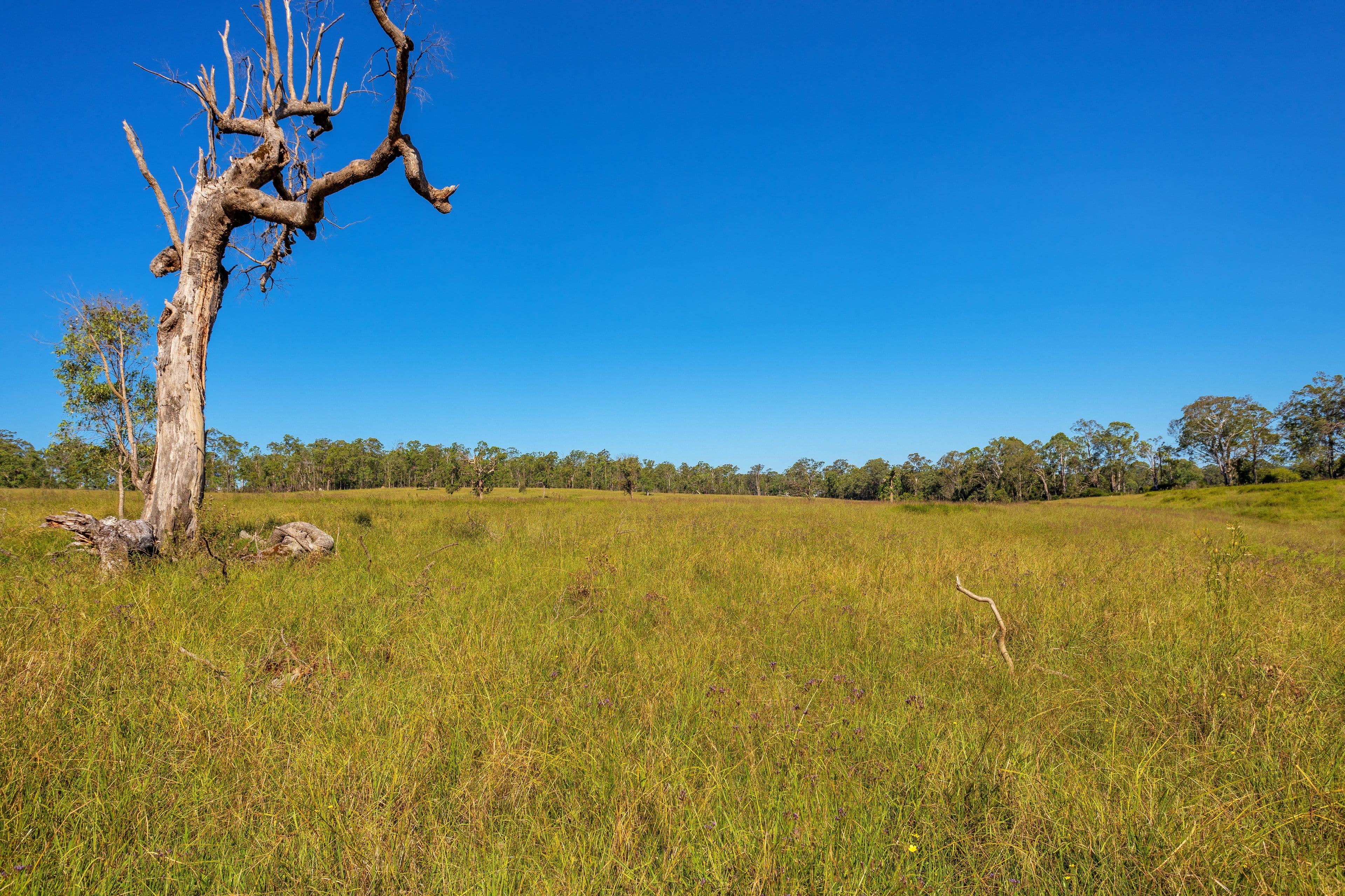76 Khatabundah Road, Wingham NSW 2429, Wingham - Thumbnail 4