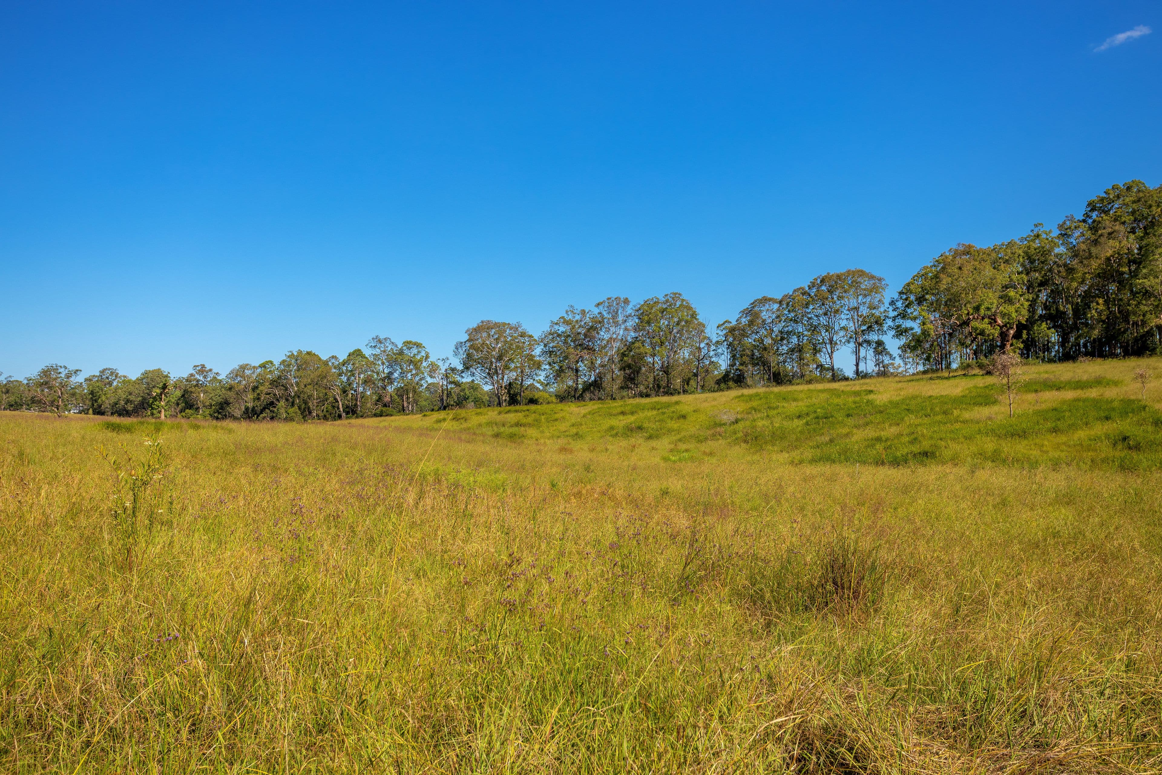 76 Khatabundah Road, Wingham NSW 2429, Wingham - Thumbnail 5