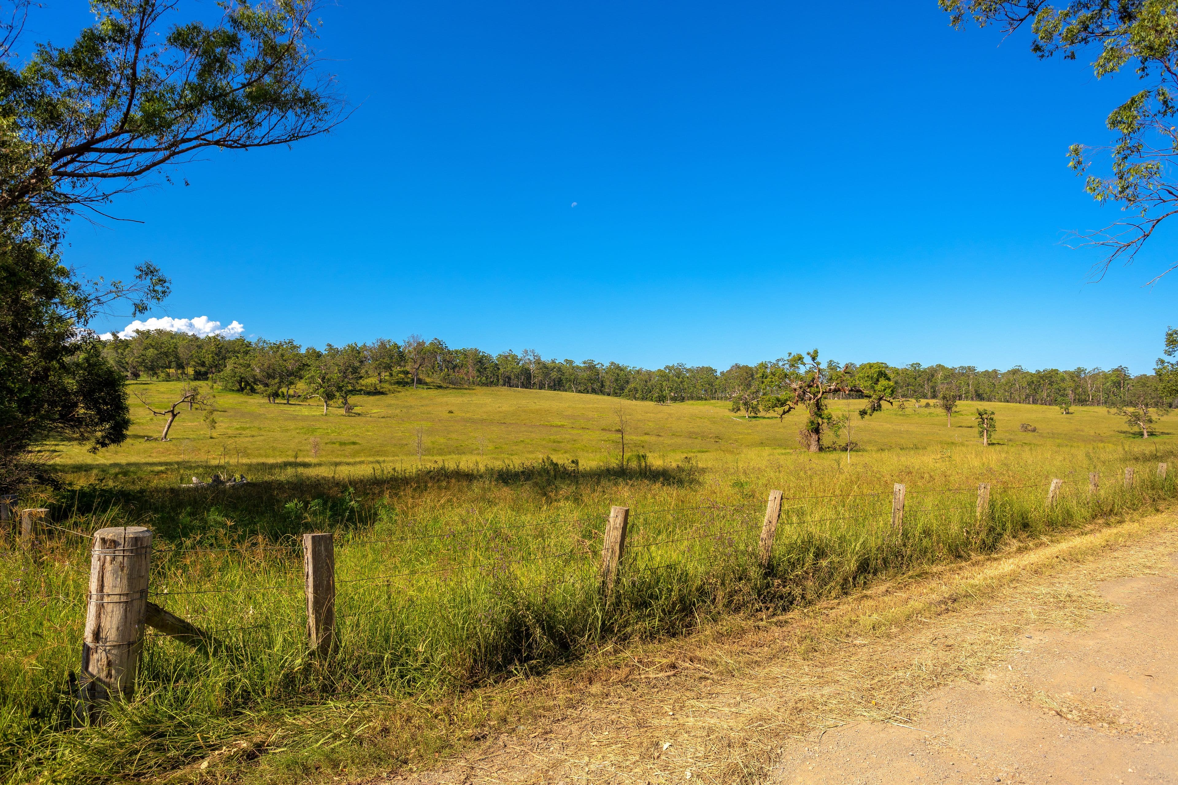 76 Khatabundah Road, Wingham NSW 2429, Wingham - Thumbnail 6