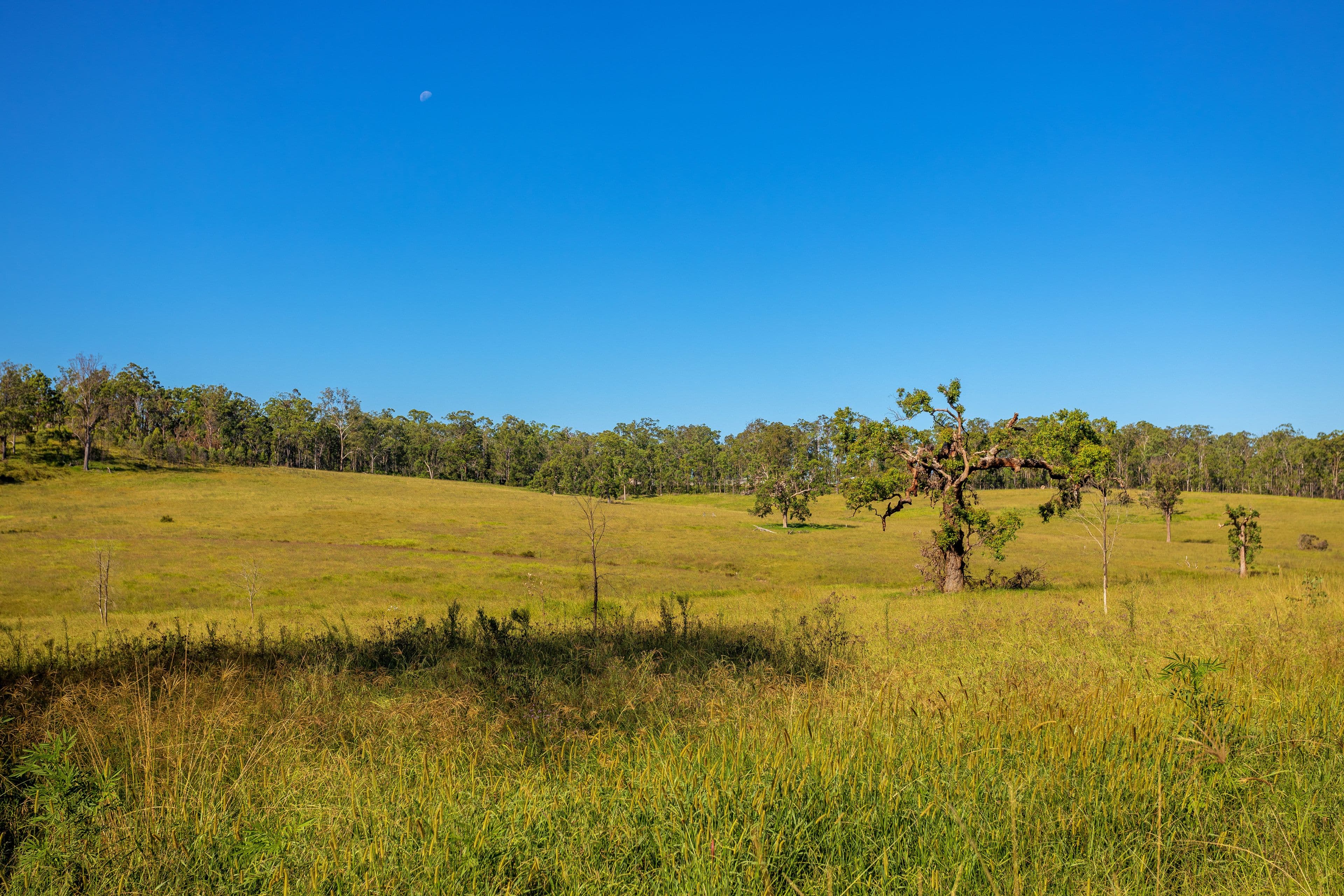 76 Khatabundah Road, Wingham NSW 2429, Wingham - Thumbnail 7