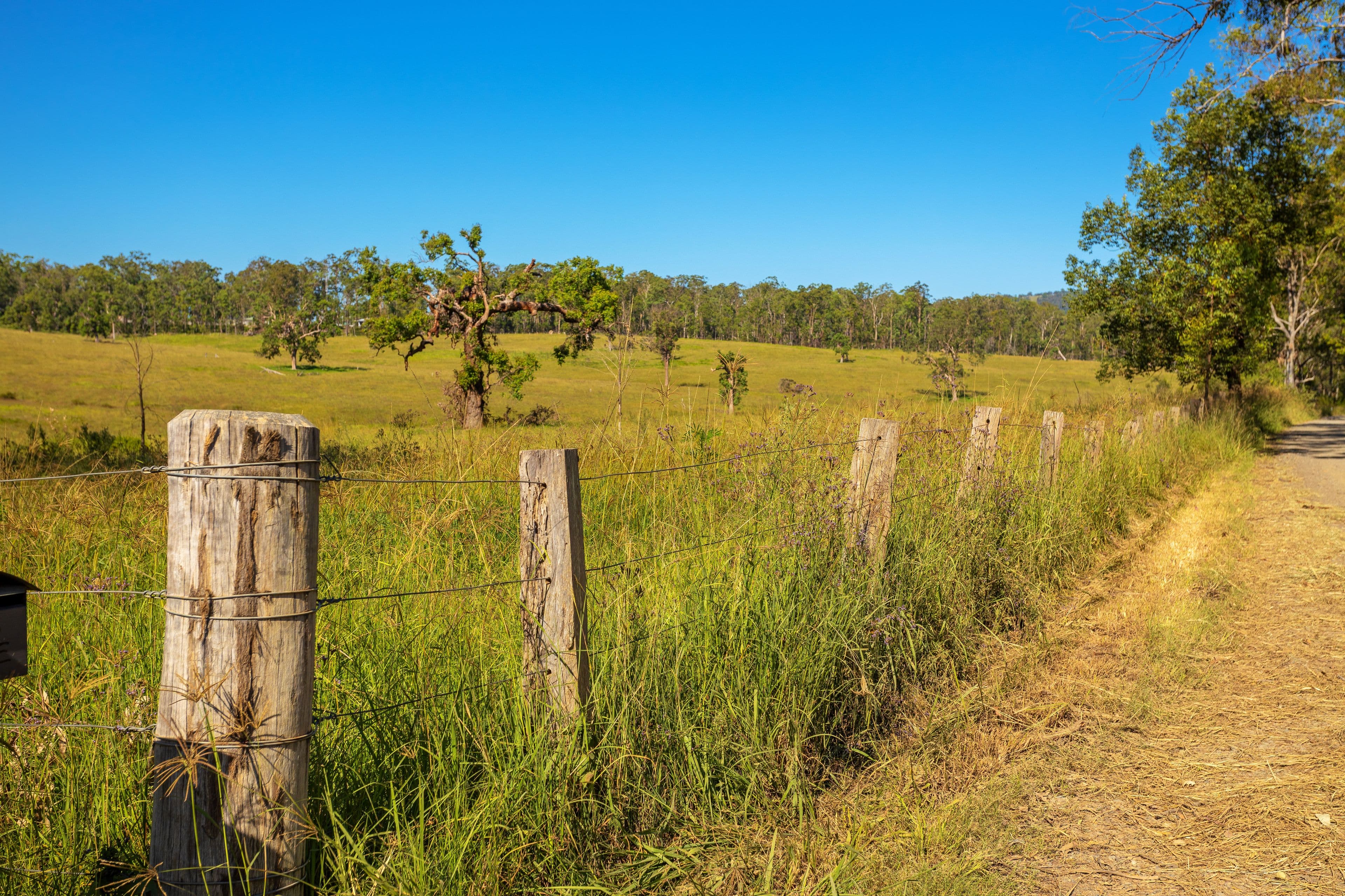 76 Khatabundah Road, Wingham NSW 2429, Wingham - Thumbnail 8