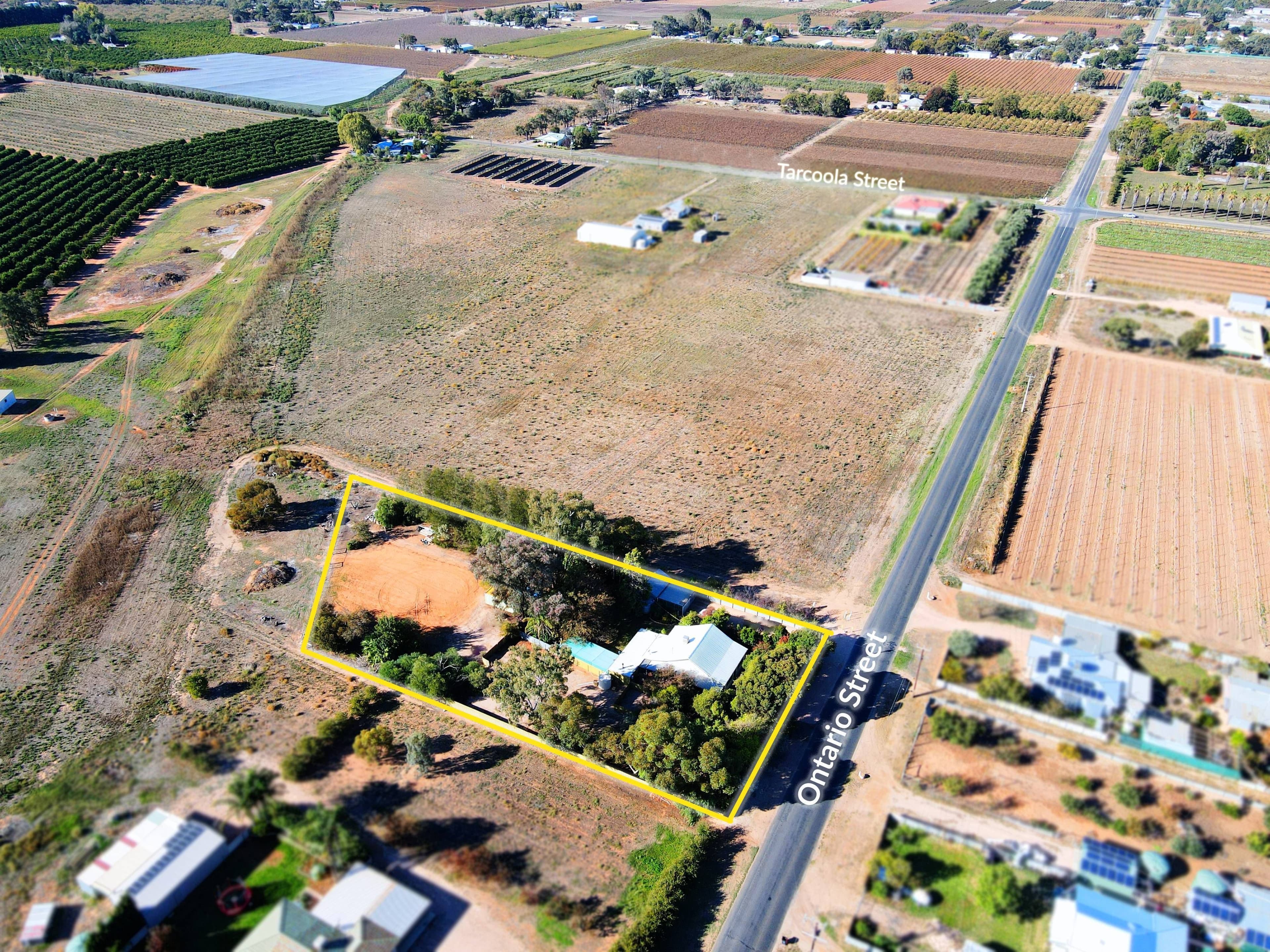 286 Ontario Street, Renmark SA 5341, Renmark West - Thumbnail 2