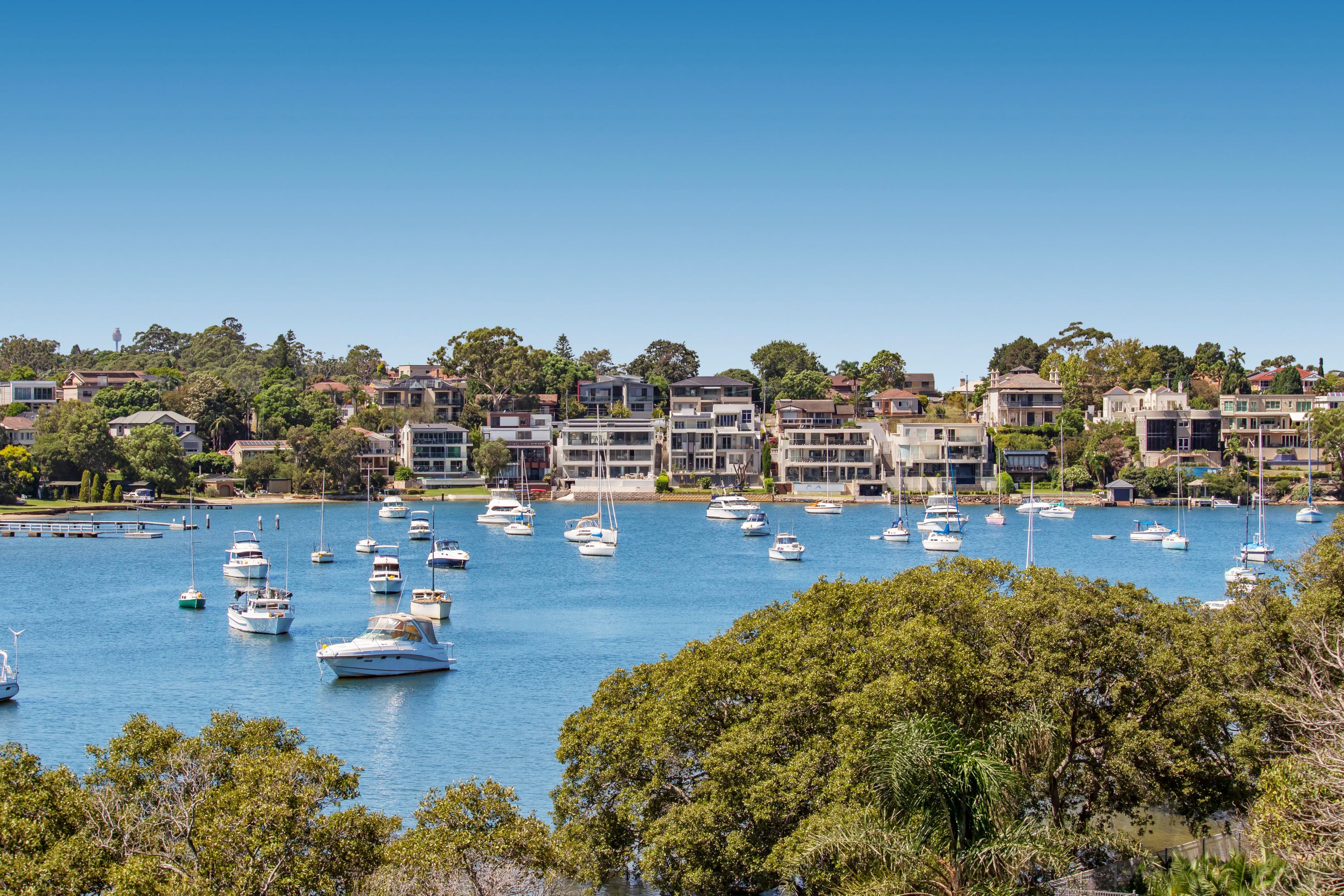 58 Pellisier Road, Putney - Thumbnail 5