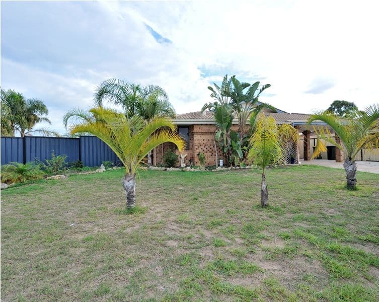 1 Giles Place, WAIKIKI WA 6169, Waikiki - Thumbnail 4