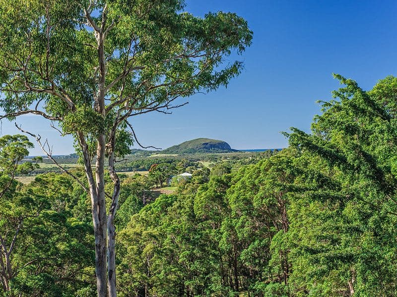 18 Whitecross Road, Bli Bli QLD 4560, Bli Bli - Thumbnail 4