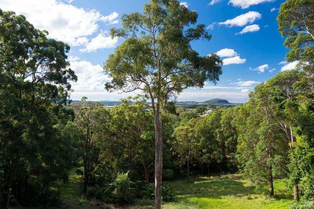 18 Whitecross Road, Bli Bli QLD 4560, Bli Bli - Thumbnail 5