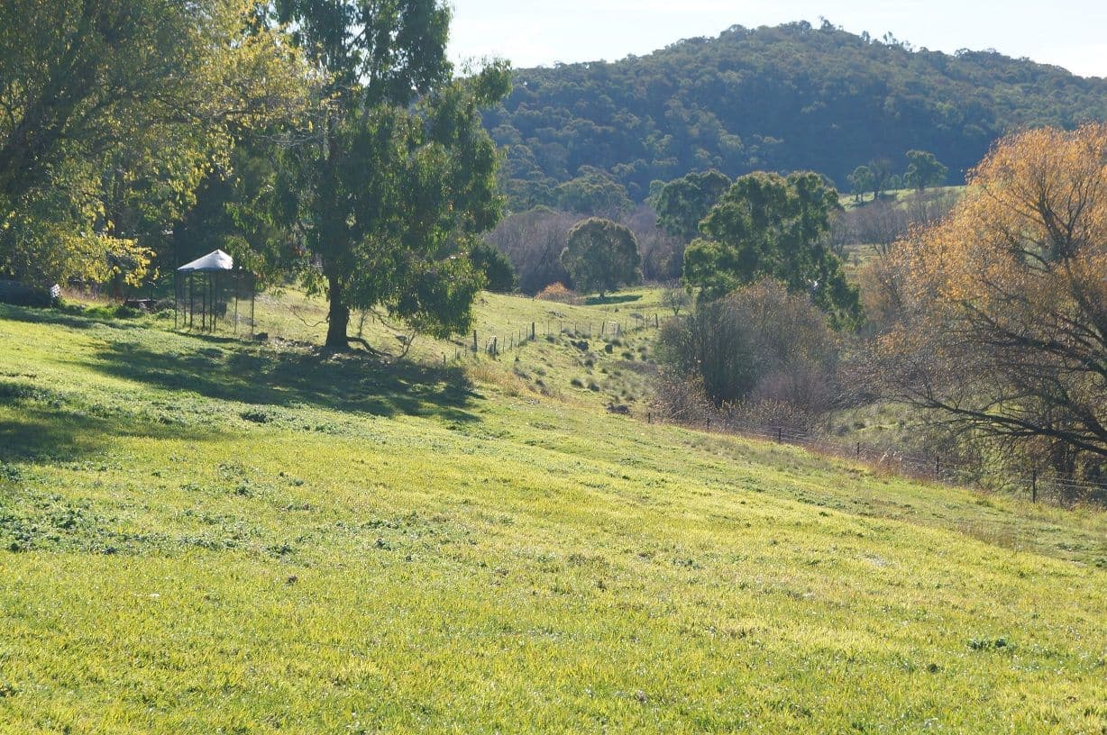 5 Fawcett Ridge, ORANGE NSW 2800, Orange - Thumbnail 8