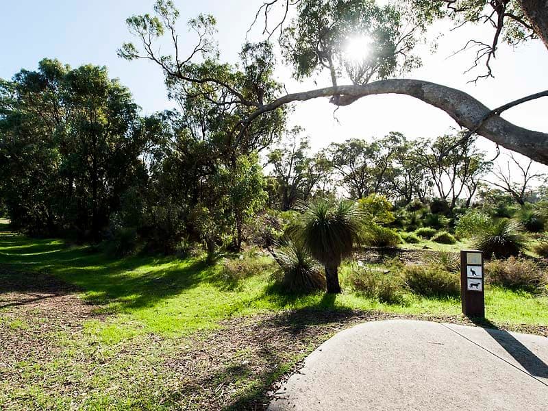 11 Timberlane Loop, Cooloongup WA 6168, Cooloongup - Thumbnail 3