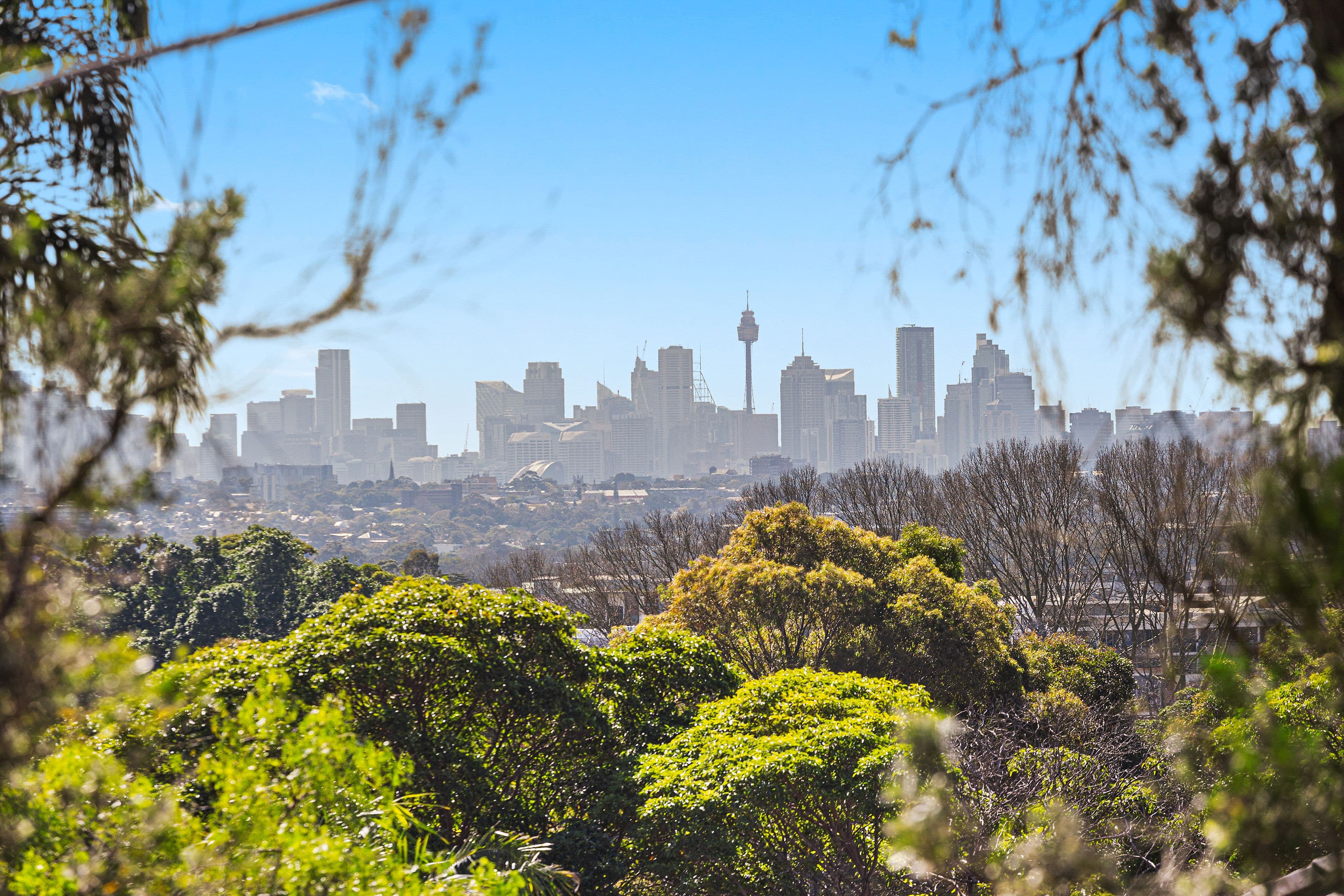 10 Farrar Street, Arncliffe NSW 2205, Arncliffe - Thumbnail 4