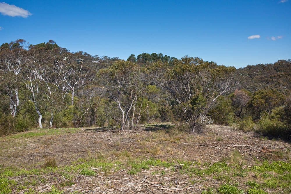 36 Kenny Street, Mount Victoria NSW 2786, Mount Victoria - Thumbnail 7