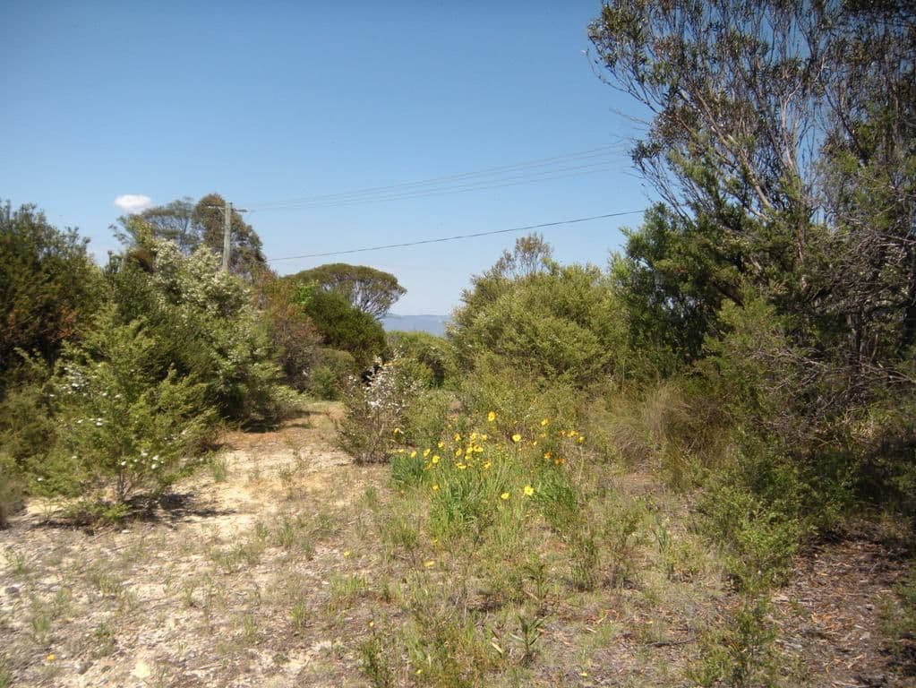 36 Kenny Street, Mount Victoria NSW 2786, Mount Victoria - Thumbnail 8
