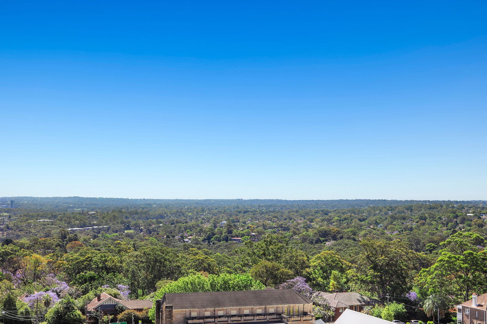 14 Brown Street, Chatswood NSW 2067, Chatswood - Thumbnail 3