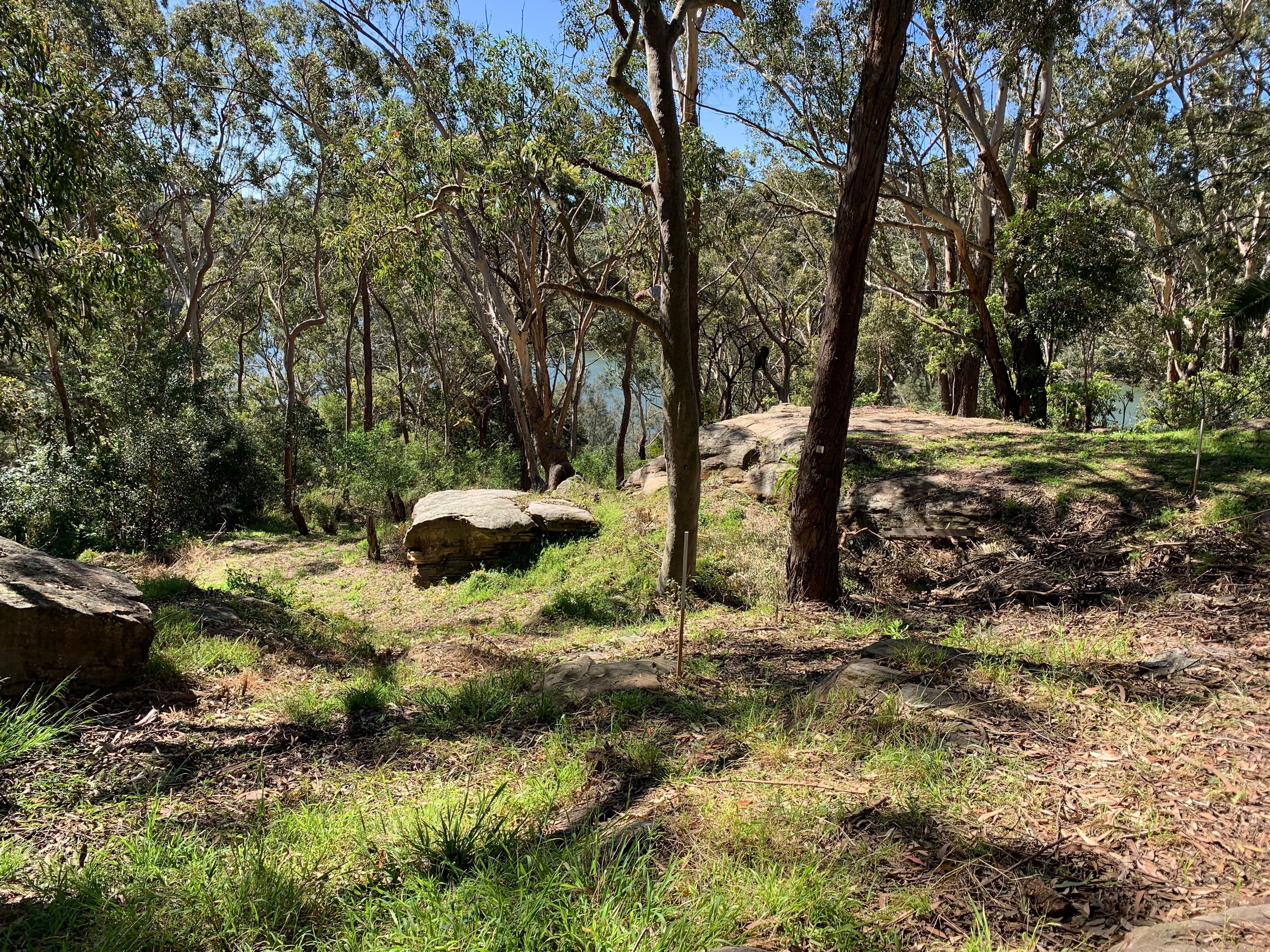 34 Barons Crescent, Hunters Hill NSW 2110, Hunters Hill - Thumbnail 5