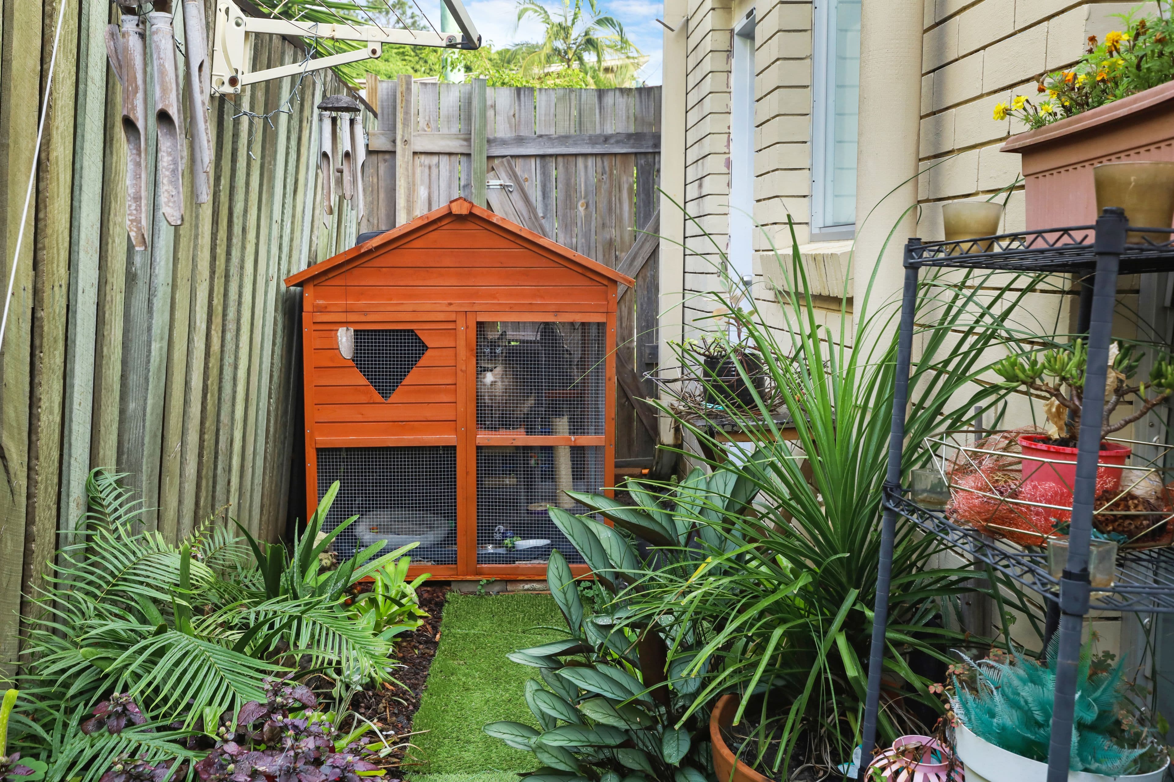 17 Tolman Court, Maroochydore QLD 4558, Maroochydore - Thumbnail 8