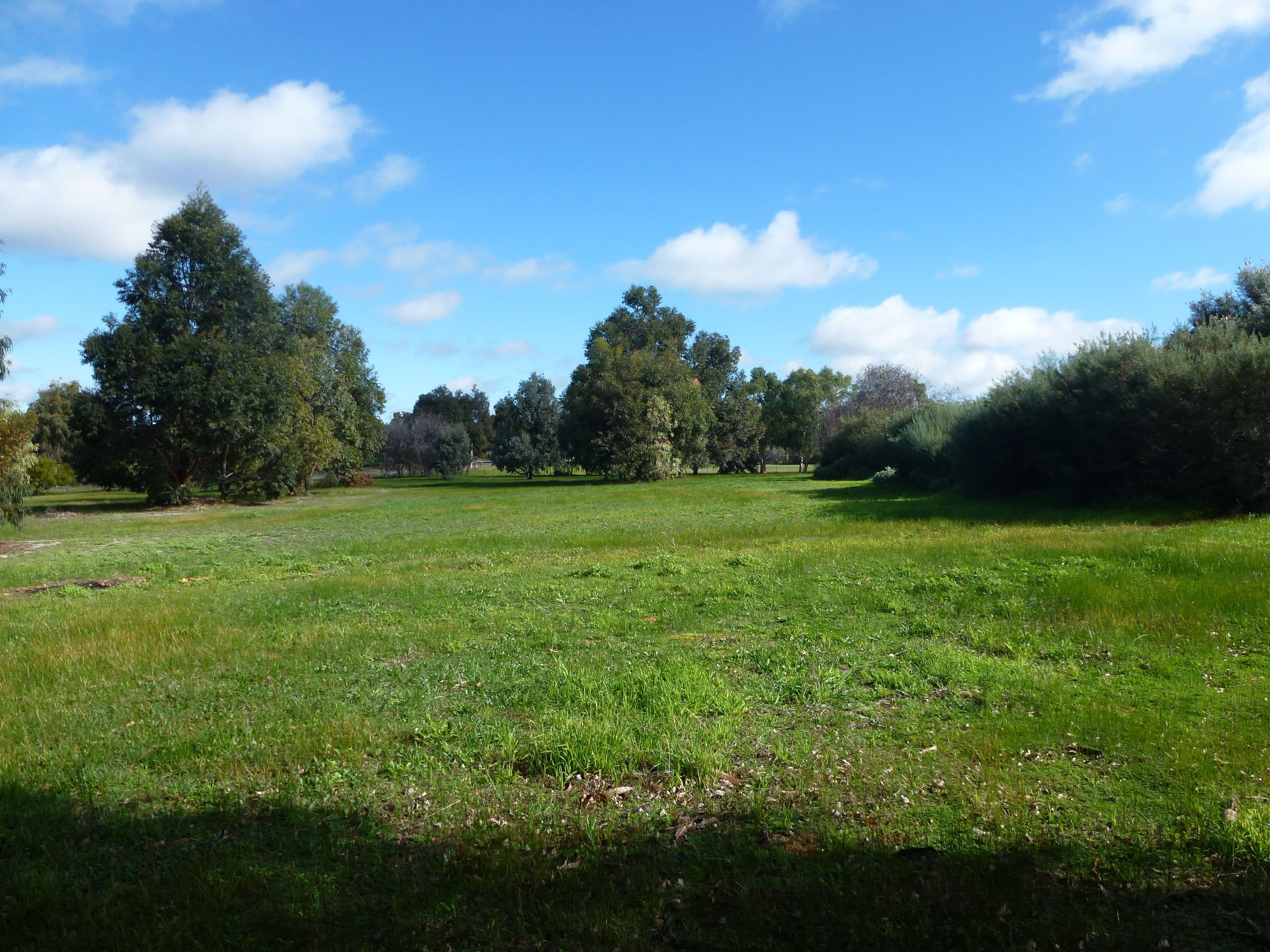 193 Ayrshire Loop, Lower Chittering WA 6084, Lower Chittering - Thumbnail 2