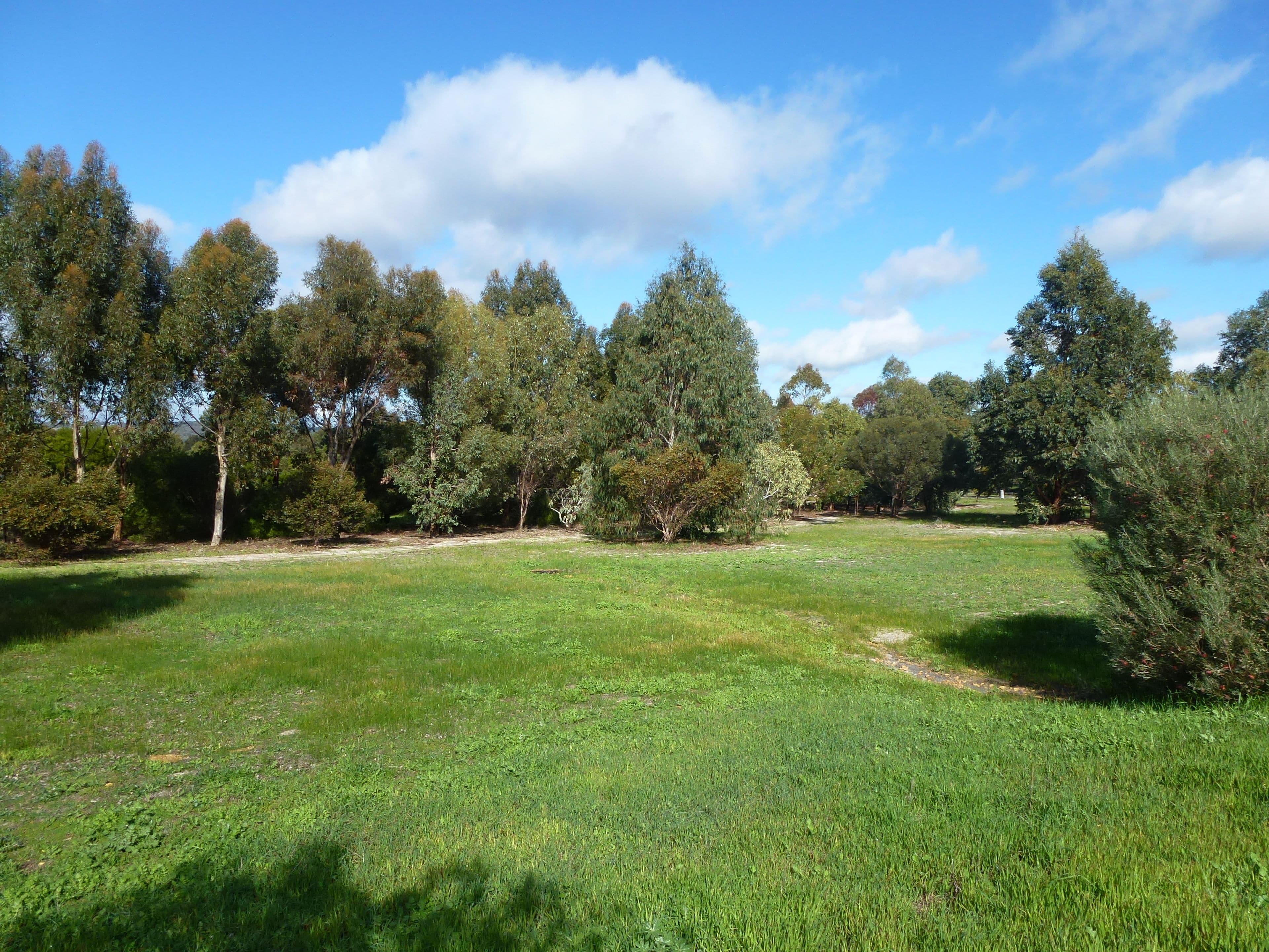 193 Ayrshire Loop, Lower Chittering WA 6084, Lower Chittering - Thumbnail 4