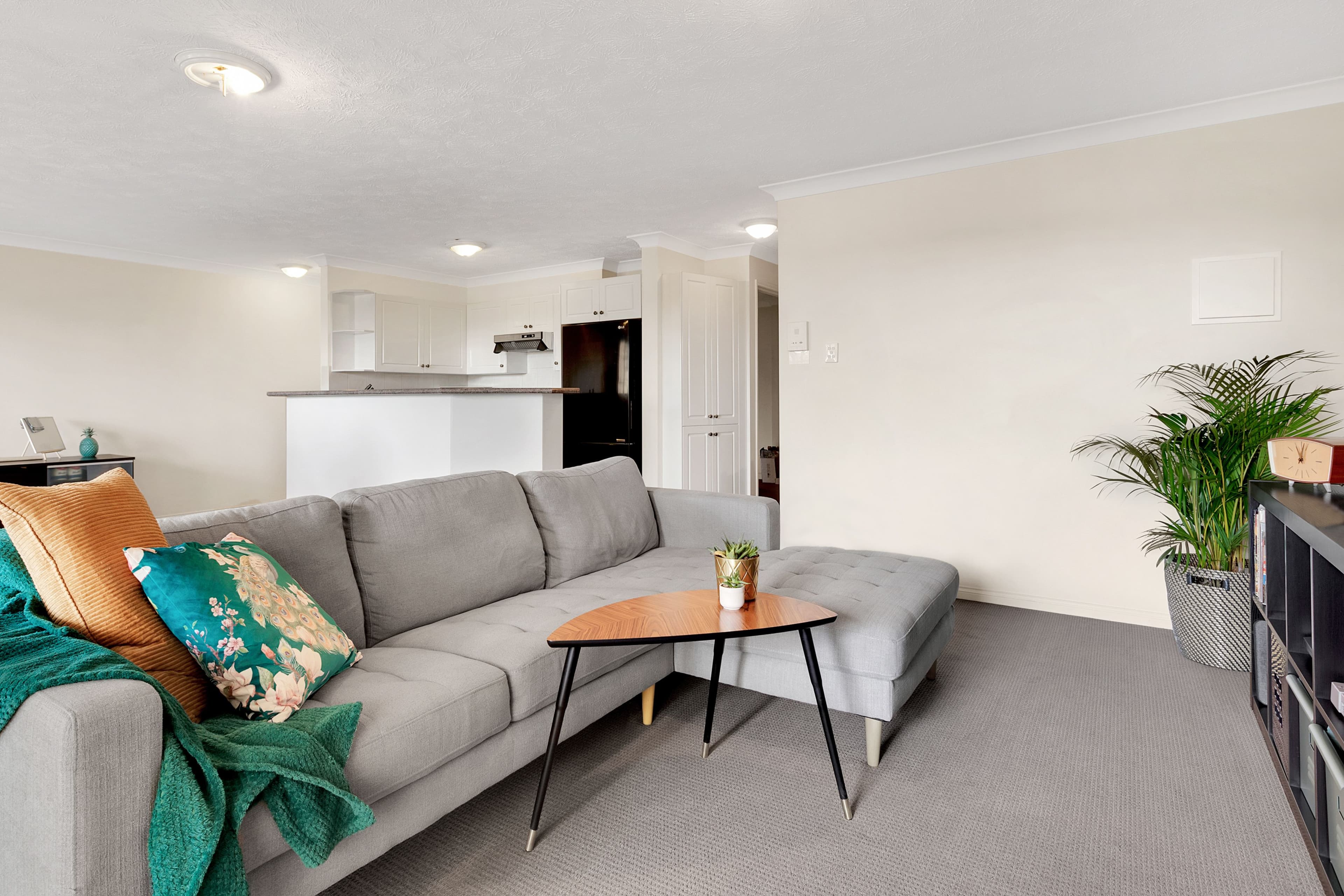 44 Globe Street, Ashgrove QLD 4060, Ashgrove - Thumbnail 5