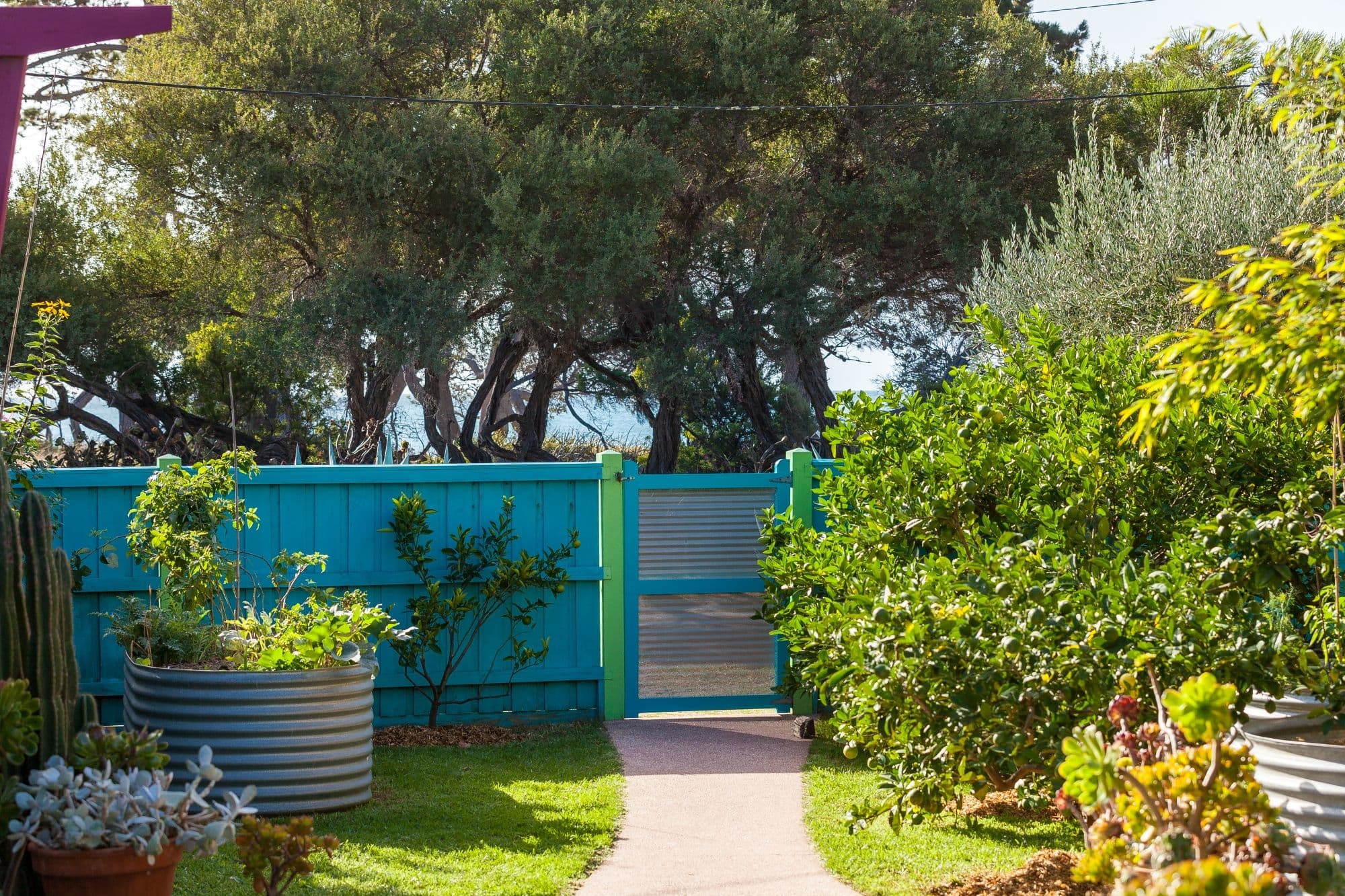 2015 Point Nepean, Tootgarook VIC 3941, Tootgarook - Thumbnail 4