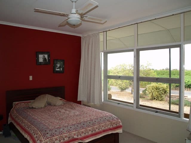 262 Perry Road, WAIKERIE SA 5330, Waikerie - Thumbnail 6