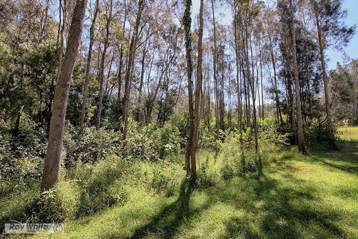 76 Coonabarabran Road, Coomba Park NSW 2428, Coomba Park - Thumbnail 5