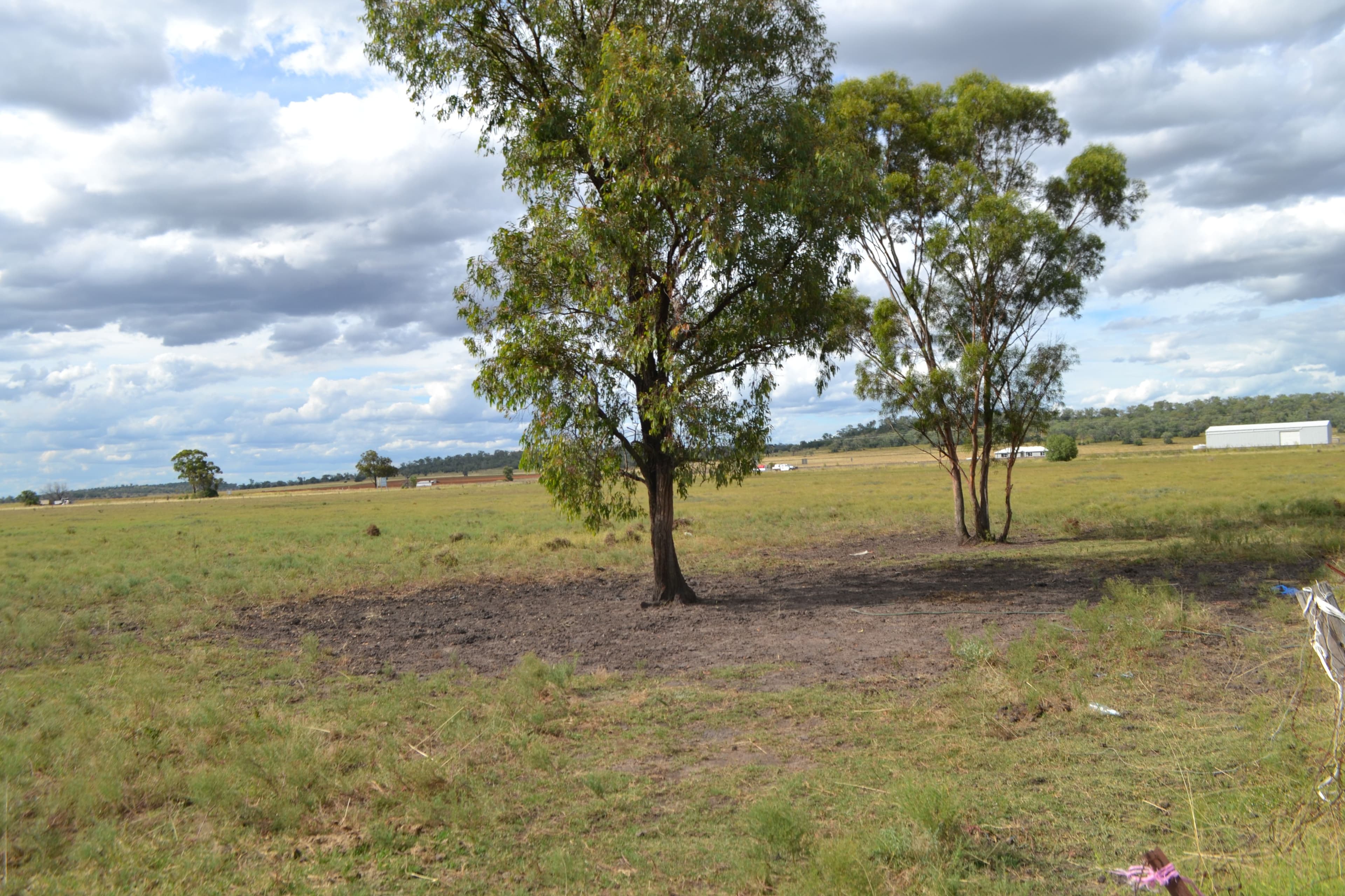 0 Warrego Highway, Jondaryan QLD 4403, Jondaryan - Thumbnail 2