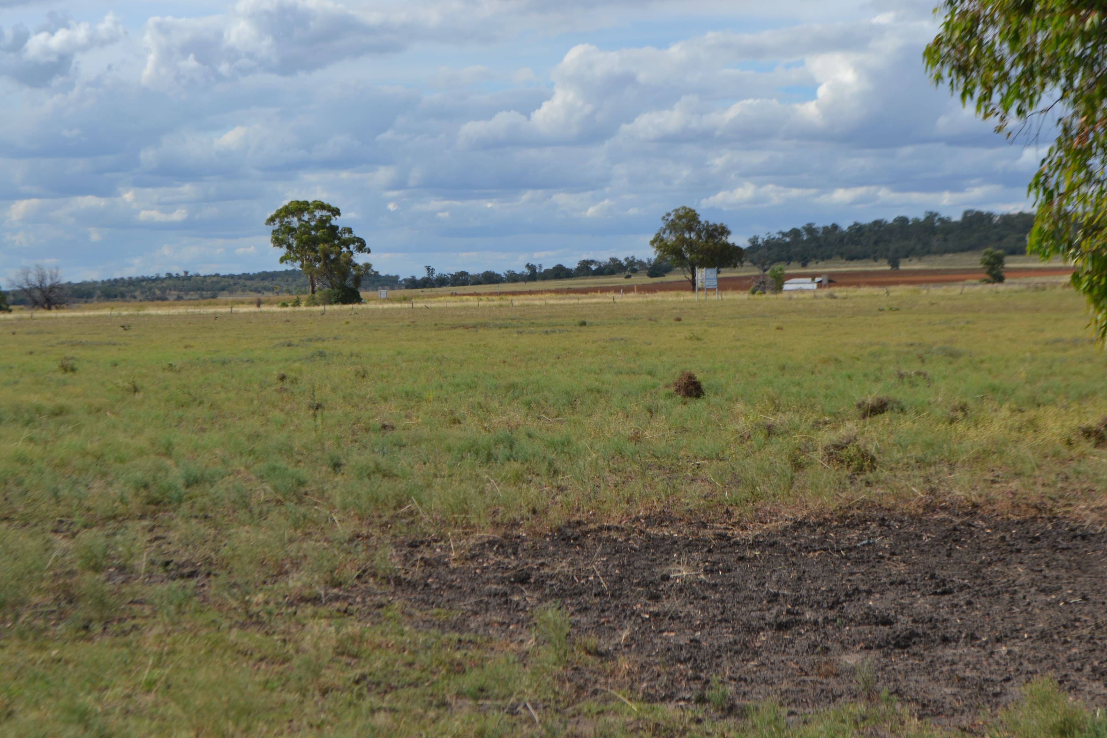 0 Warrego Highway, Jondaryan QLD 4403, Jondaryan - Thumbnail 4
