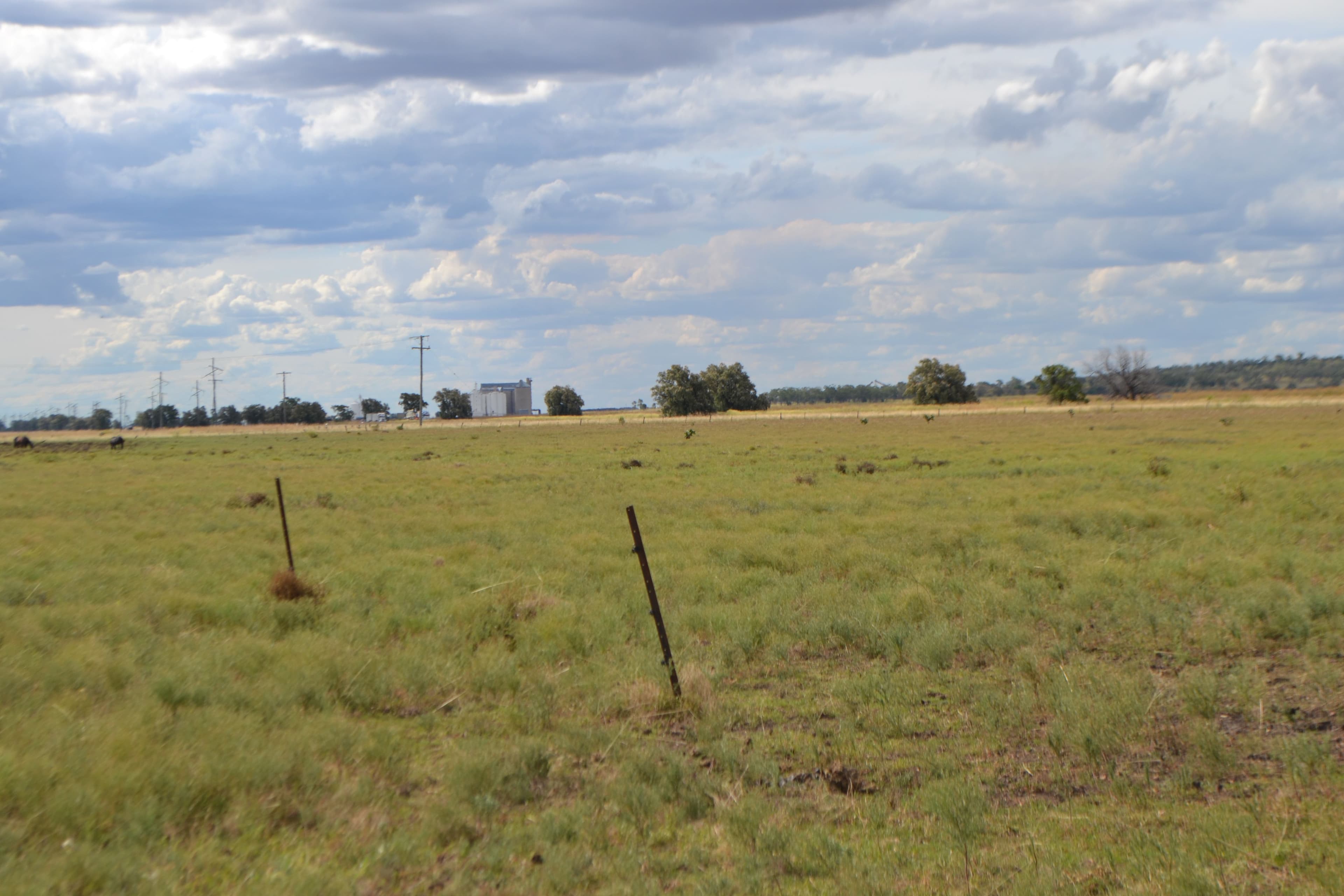 0 Warrego Highway, Jondaryan QLD 4403, Jondaryan - Thumbnail 5