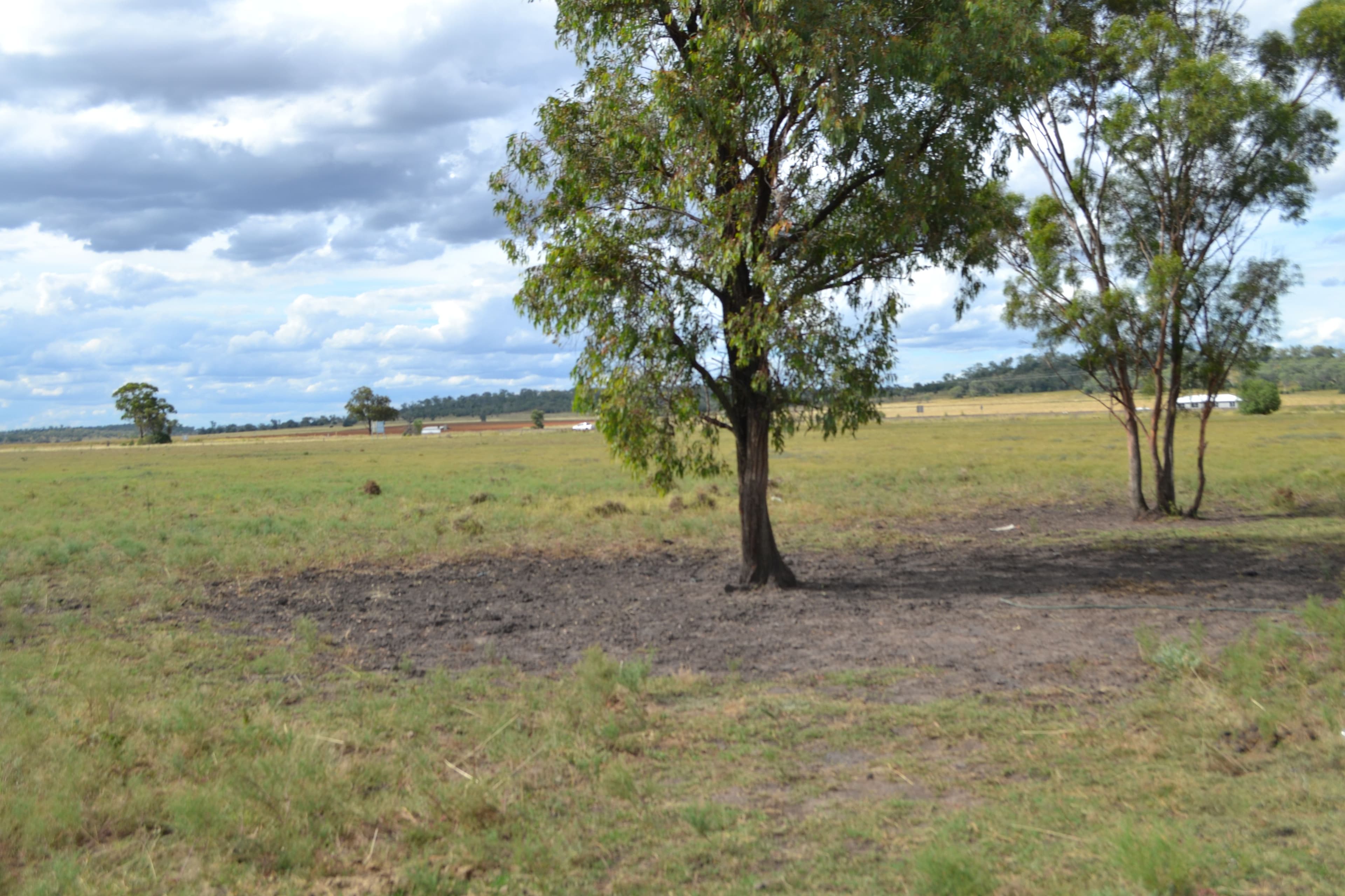 0 Warrego Highway, Jondaryan QLD 4403, Jondaryan - Thumbnail 7
