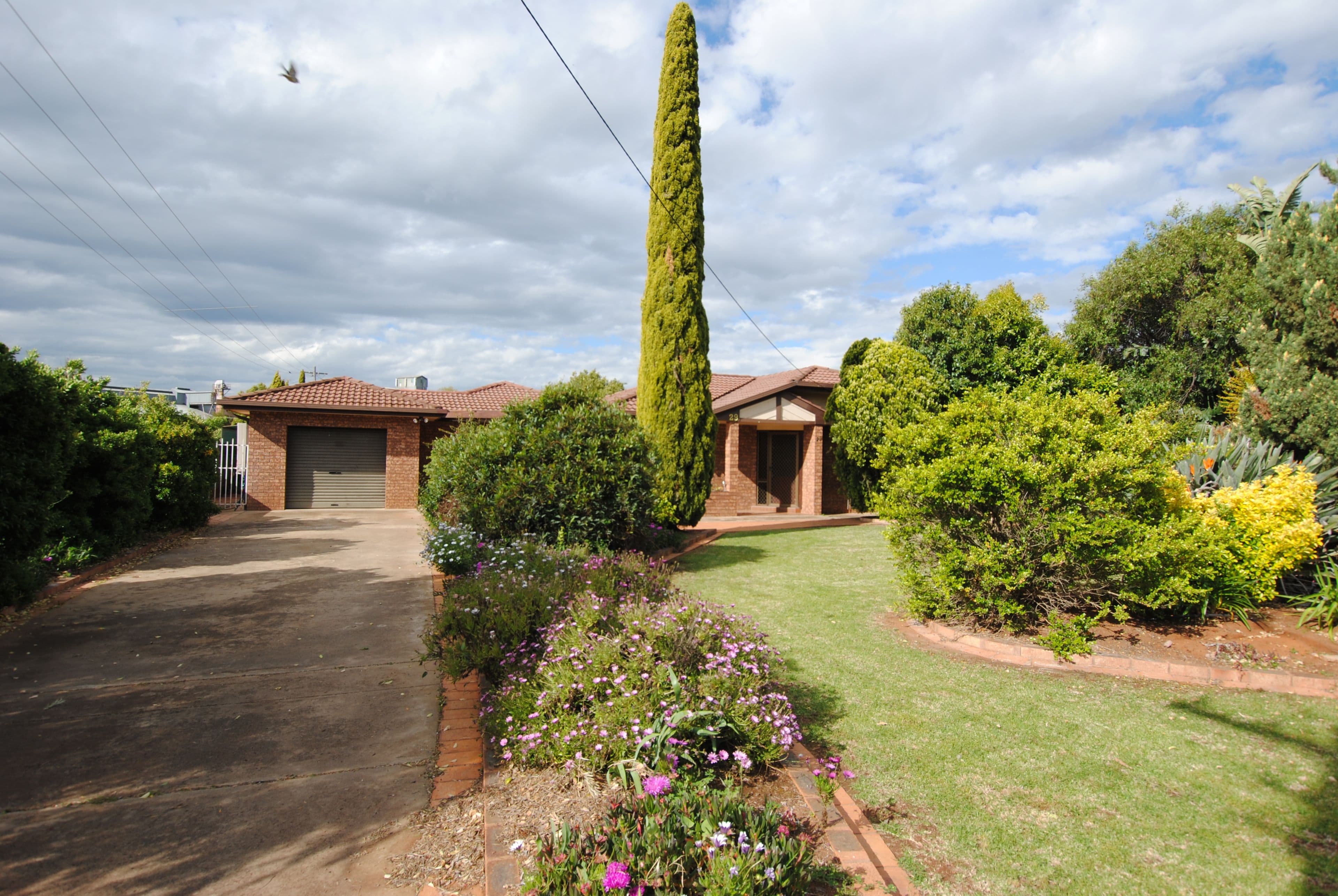 29 Henry Street, Yenda - Image 1