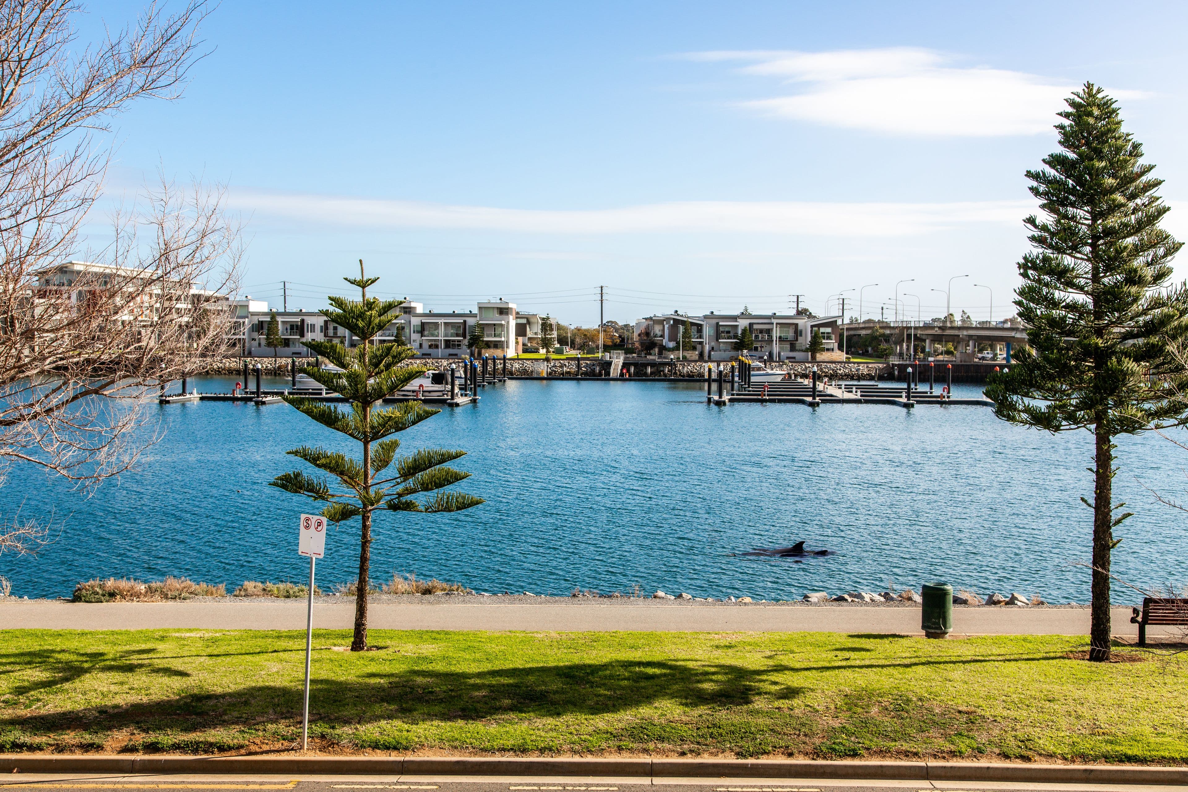 16 Knapman Crescent, Port Adelaide SA 5015, Port Adelaide - Thumbnail 2