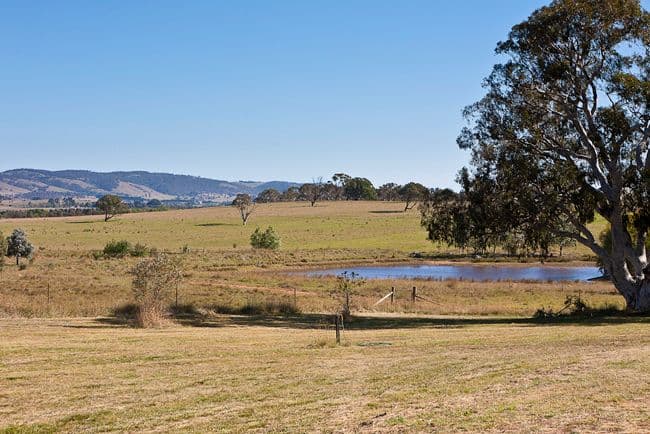 515 Hoskinstown Road, BUNGENDORE NSW 2621, Bungendore - Thumbnail 4