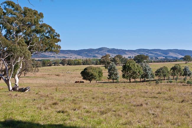 515 Hoskinstown Road, BUNGENDORE NSW 2621, Bungendore - Thumbnail 6