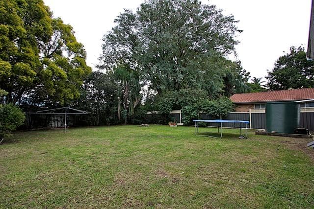 51 Rapur Street, RACEVIEW QLD 4305, Raceview - Thumbnail 4