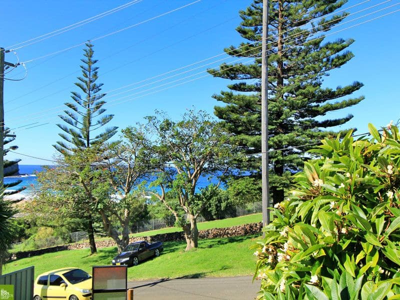 16 Hutchinson Street, BOMBO NSW 2533, Bombo - Thumbnail 7