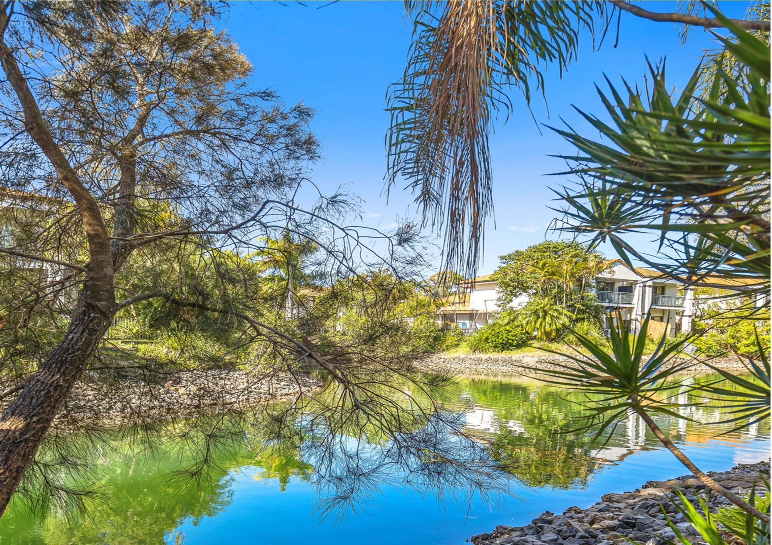 60 Cyclades Crescent, Currumbin Waters QLD 4223, Currumbin Waters - Thumbnail 5